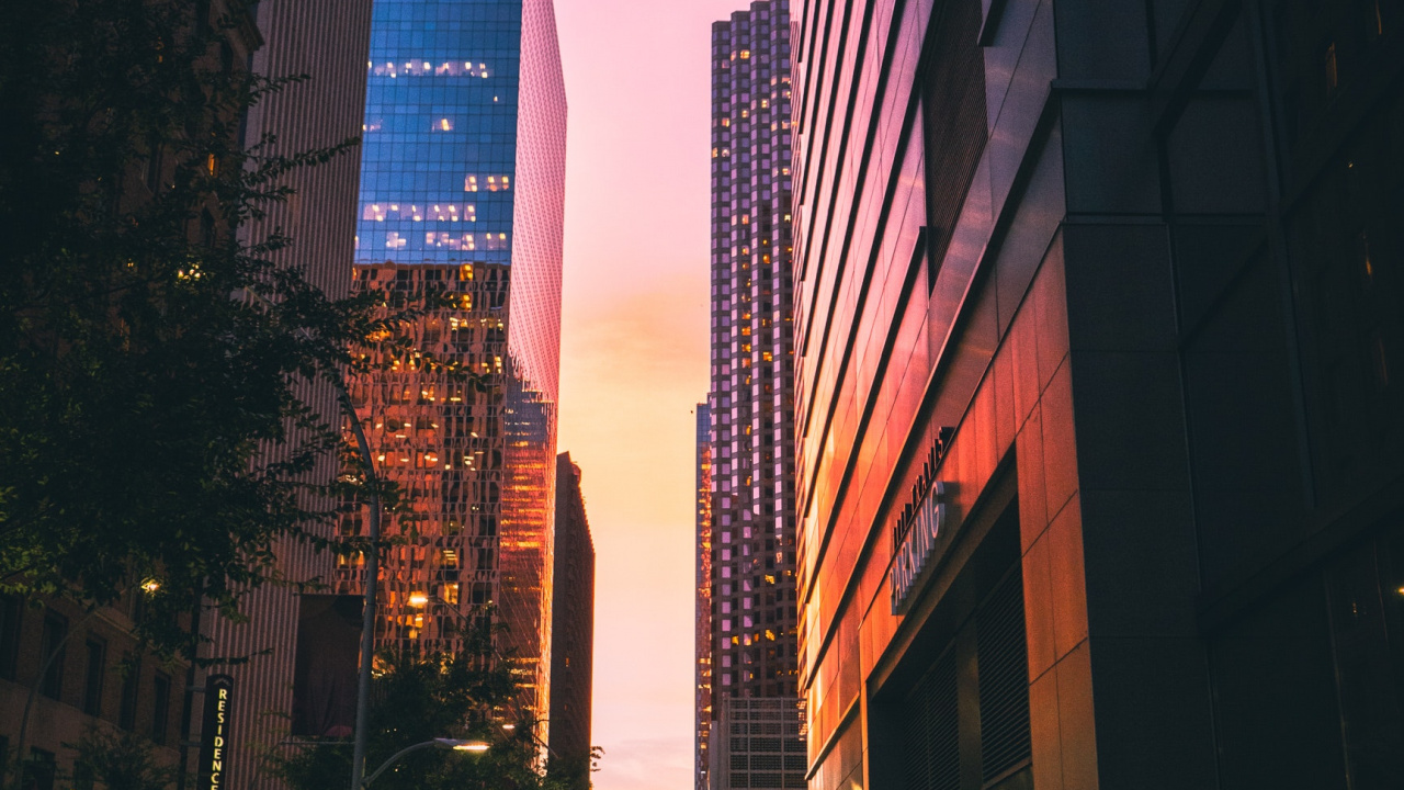 Building, Skyscraper, Infrastructure, Plant, Dusk. Wallpaper in 1280x720 Resolution