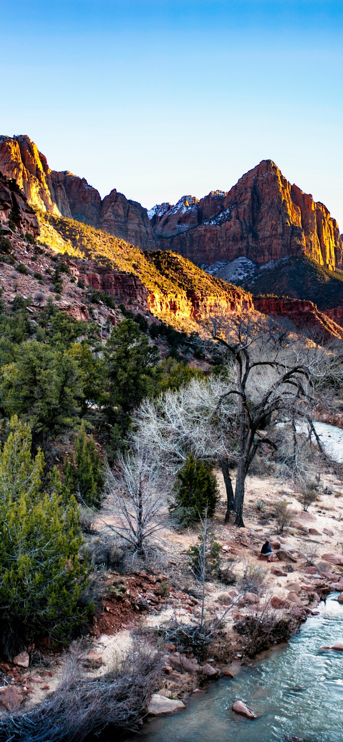 Youtube Banner Nature, Art, Plant, Water, Mountain. Wallpaper in 1125x2436 Resolution