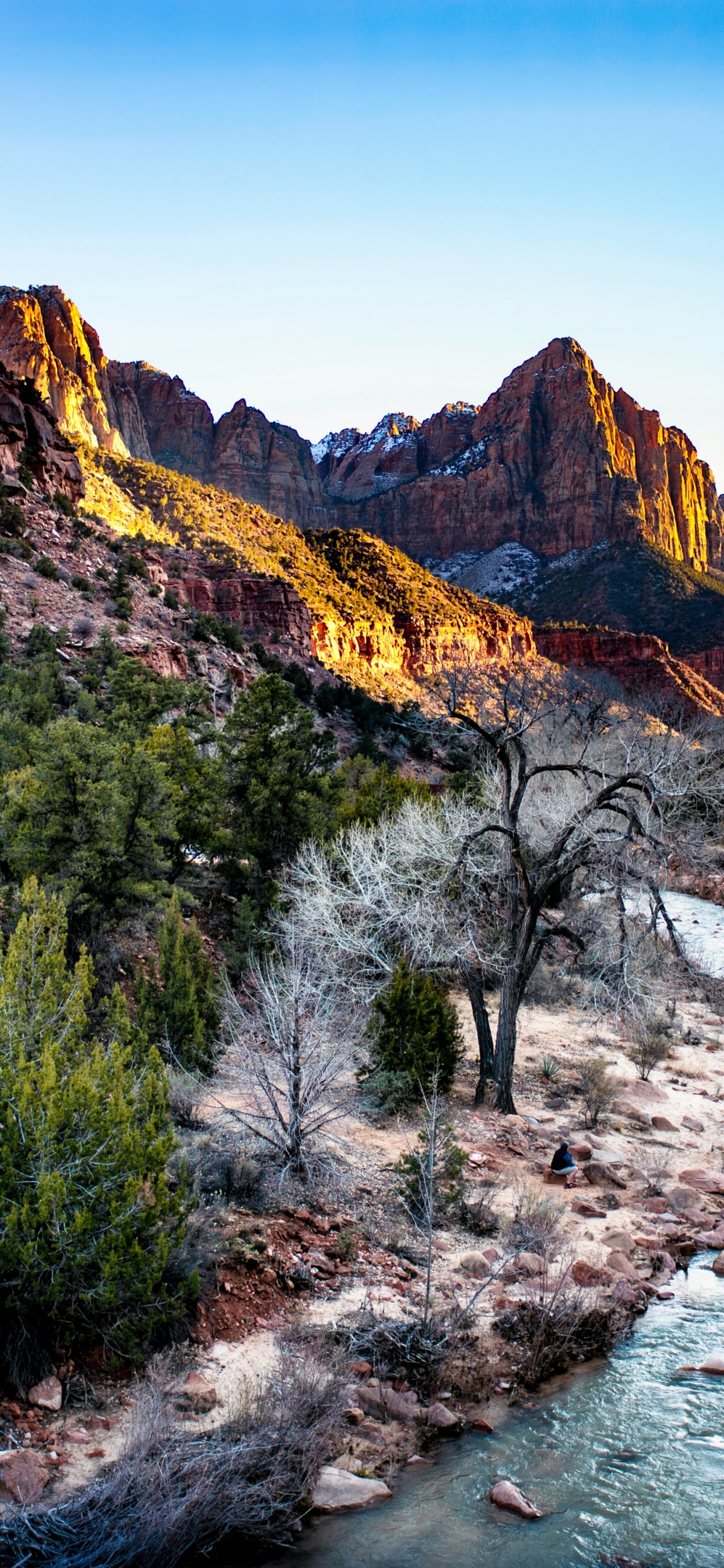 Youtube Banner Nature, Art, Plant, Water, Mountain. Wallpaper in 1242x2688 Resolution