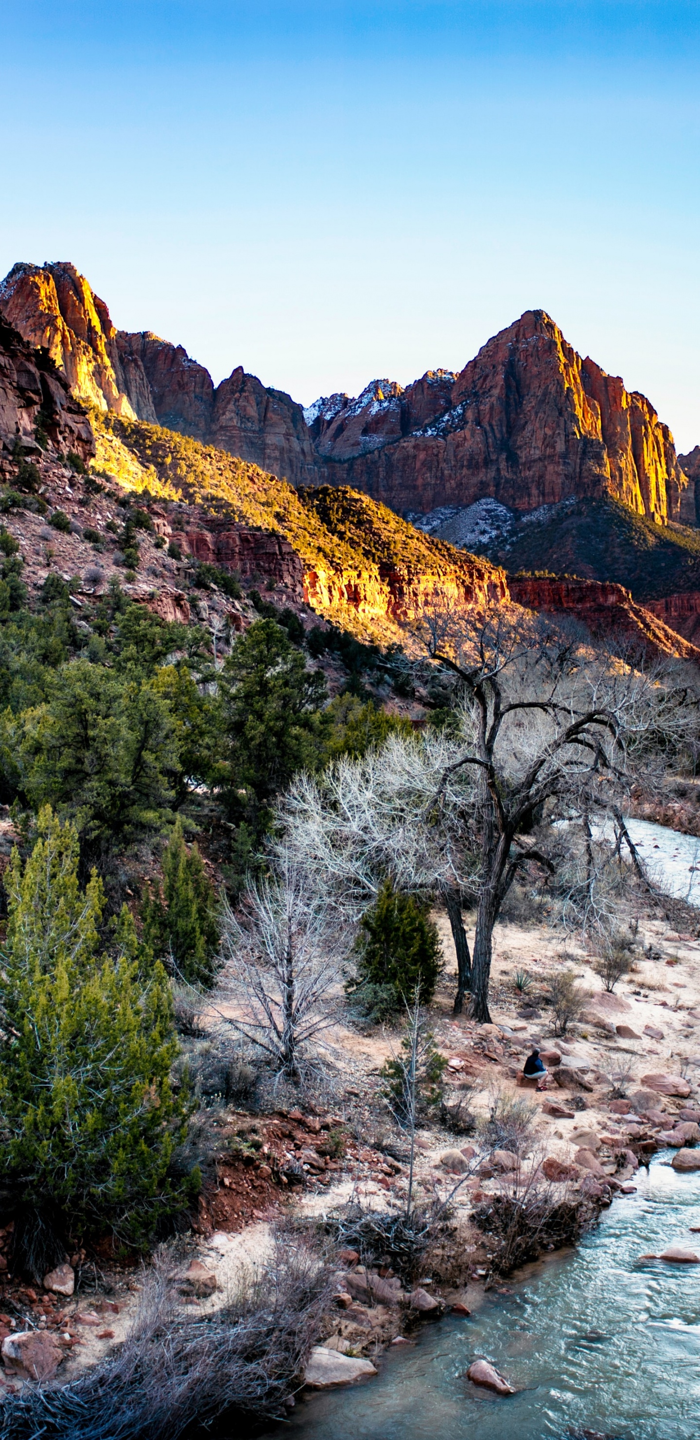 Youtube Banner Nature, Art, Plant, Water, Mountain. Wallpaper in 1440x2960 Resolution