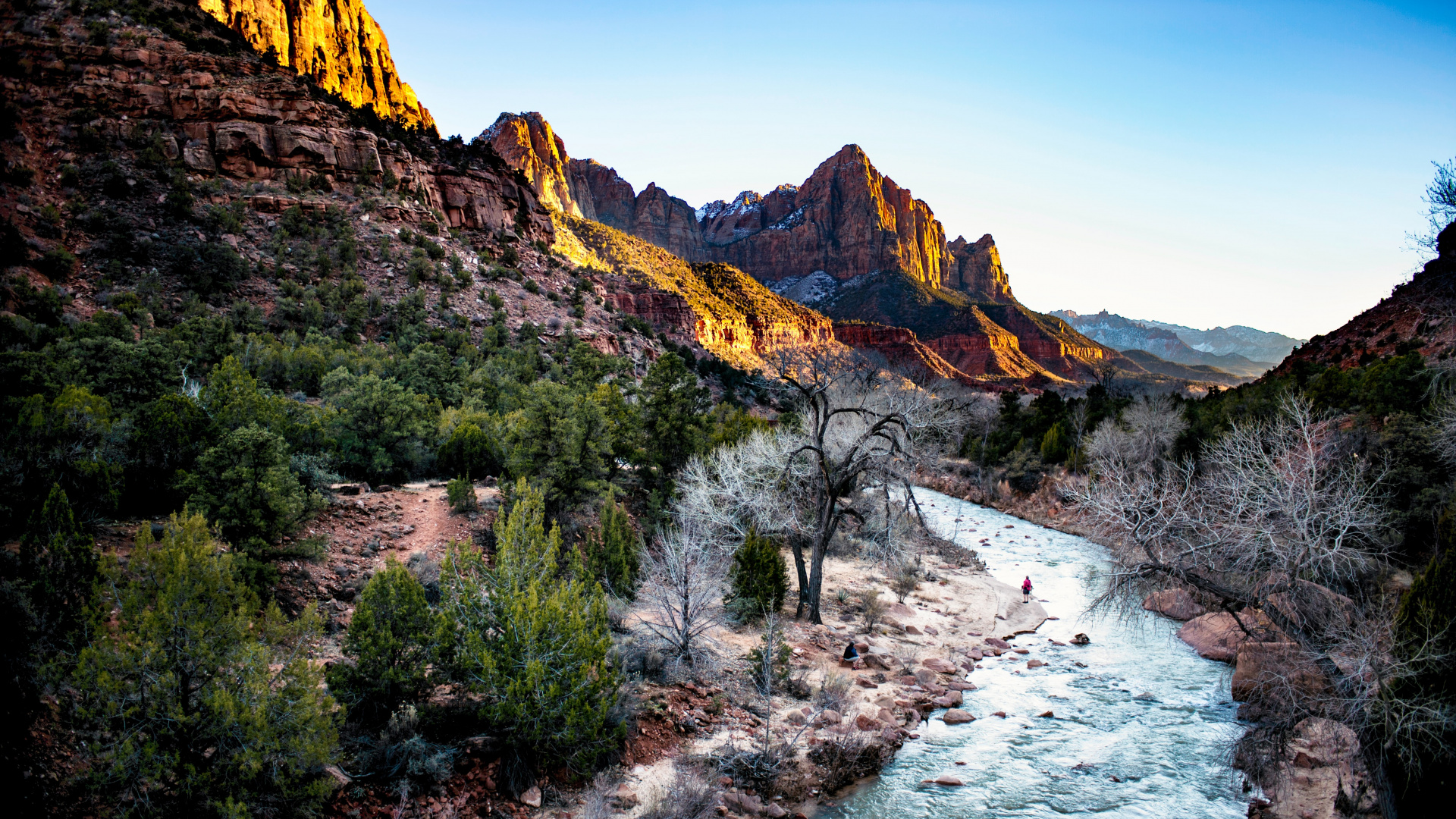 Youtube Banner Nature, Art, Plant, Water, Mountain. Wallpaper in 1920x1080 Resolution
