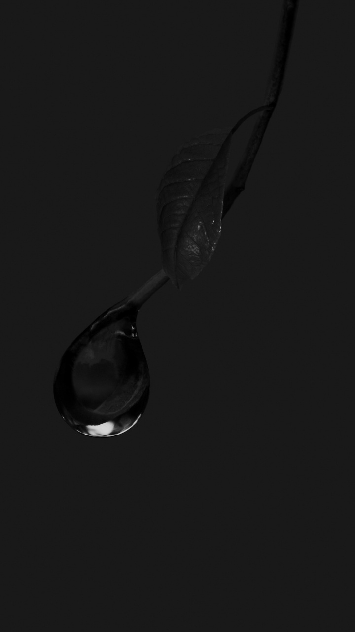 en Blanco y Negro, Agua, Vajilla, Cristalería, Líquido. Wallpaper in 720x1280 Resolution