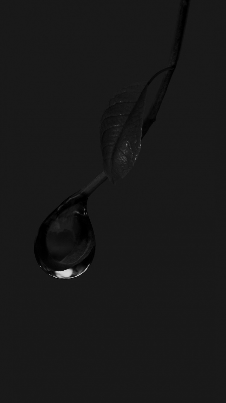 Schwarz Und Weiß, Wasser, Tafelgeschirr, Drinkware, Flüssigkeit. Wallpaper in 750x1334 Resolution