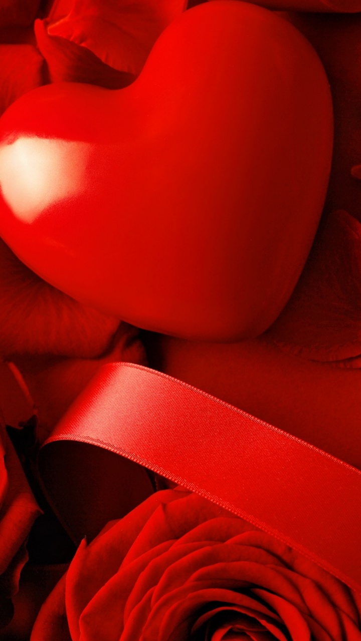 Cœur, le Jour de Valentines, Red, Pétale, Les Roses de Jardin. Wallpaper in 720x1280 Resolution