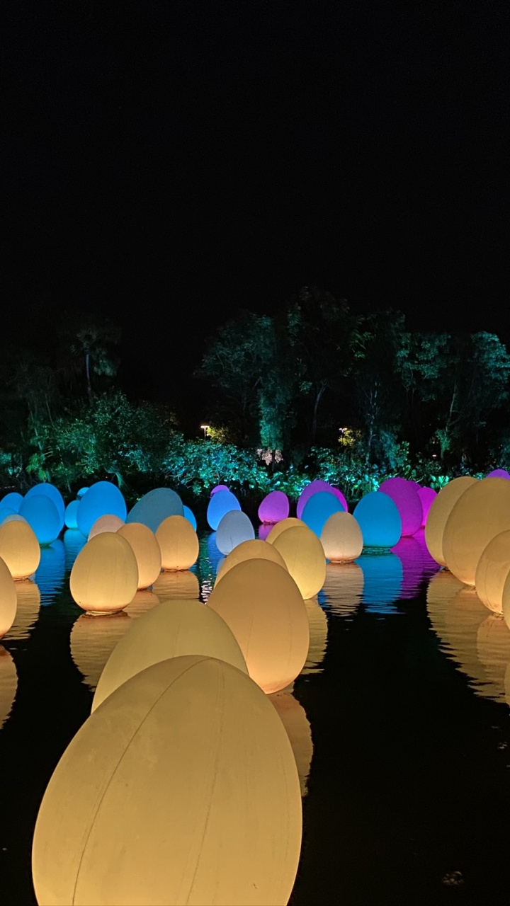 风景照, 光, 午夜, 生物群落, 空间 壁纸 720x1280 允许