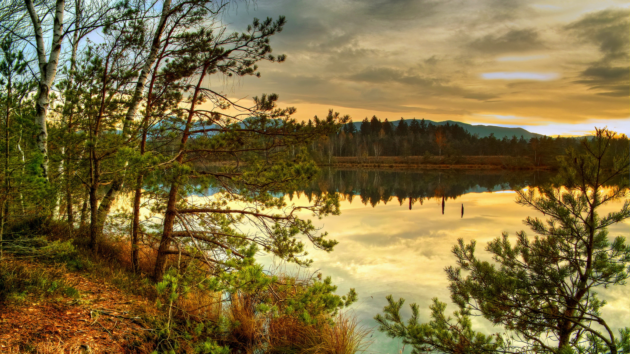 Green Trees Near Lake Under Cloudy Sky During Daytime. Wallpaper in 2560x1440 Resolution