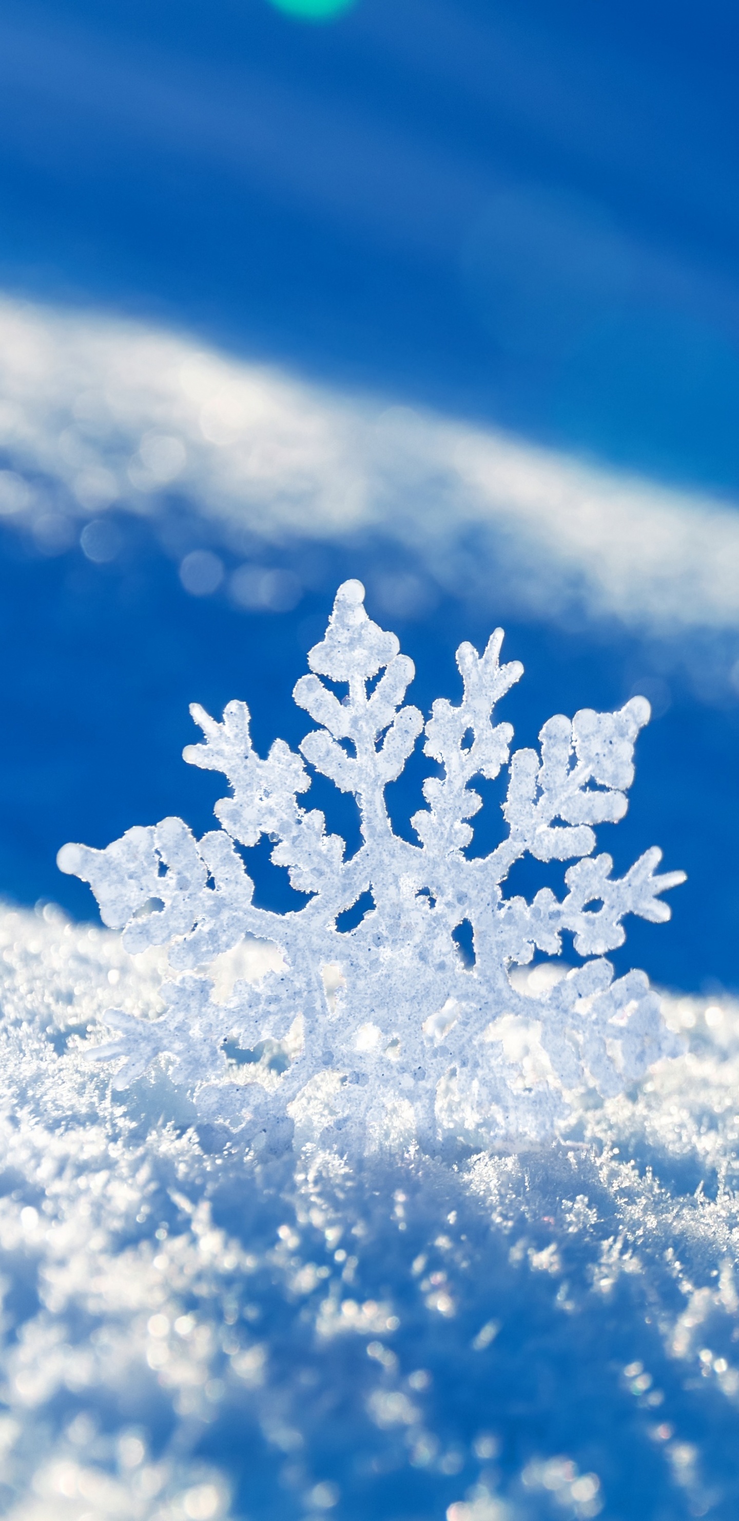 Copos de Nieve Blanca Sobre Nieve Blanca. Wallpaper in 1440x2960 Resolution