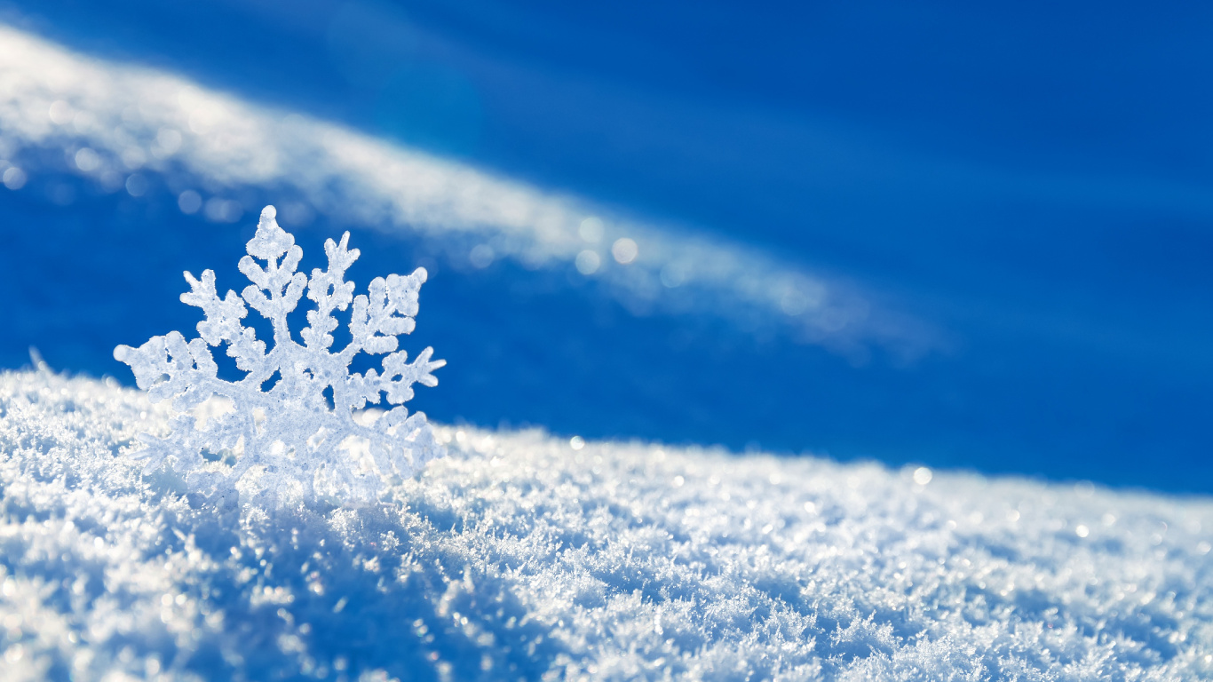 冬天, 冻结, 雪花, Fir, 天空 壁纸 1366x768 允许