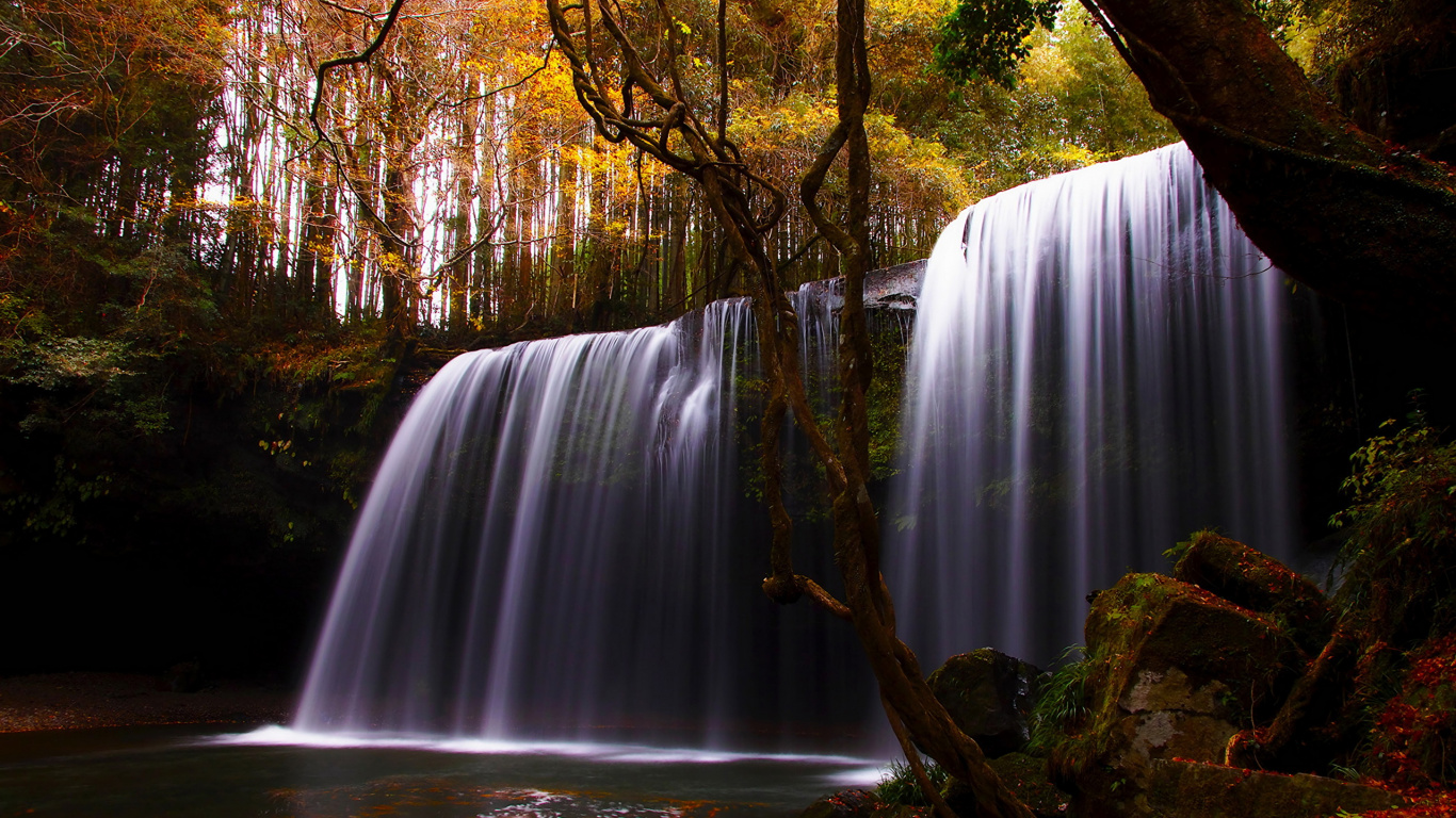 Branche D'arbre Brune Avec Des Chutes D'eau. Wallpaper in 1366x768 Resolution