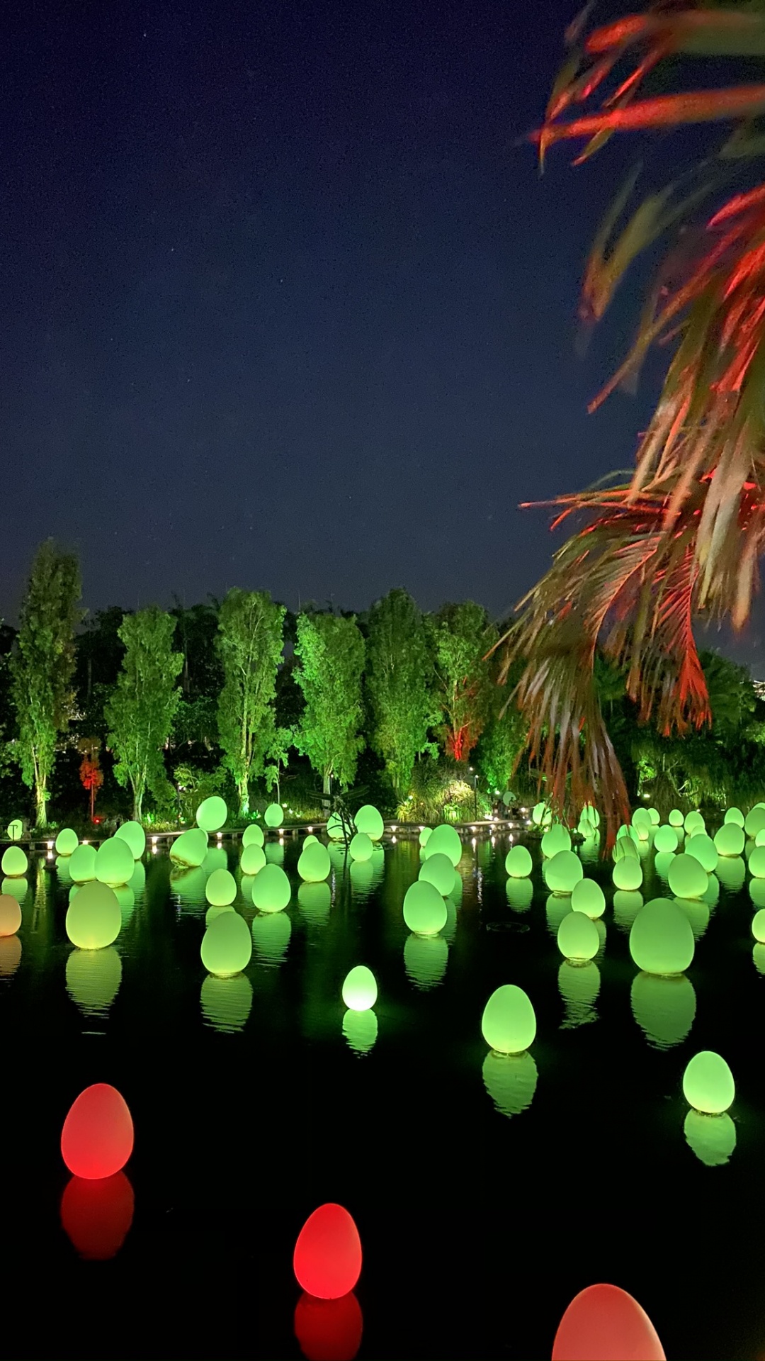 Nature, Landscape Lighting, Green, Reflection, Palm Tree. Wallpaper in 1080x1920 Resolution