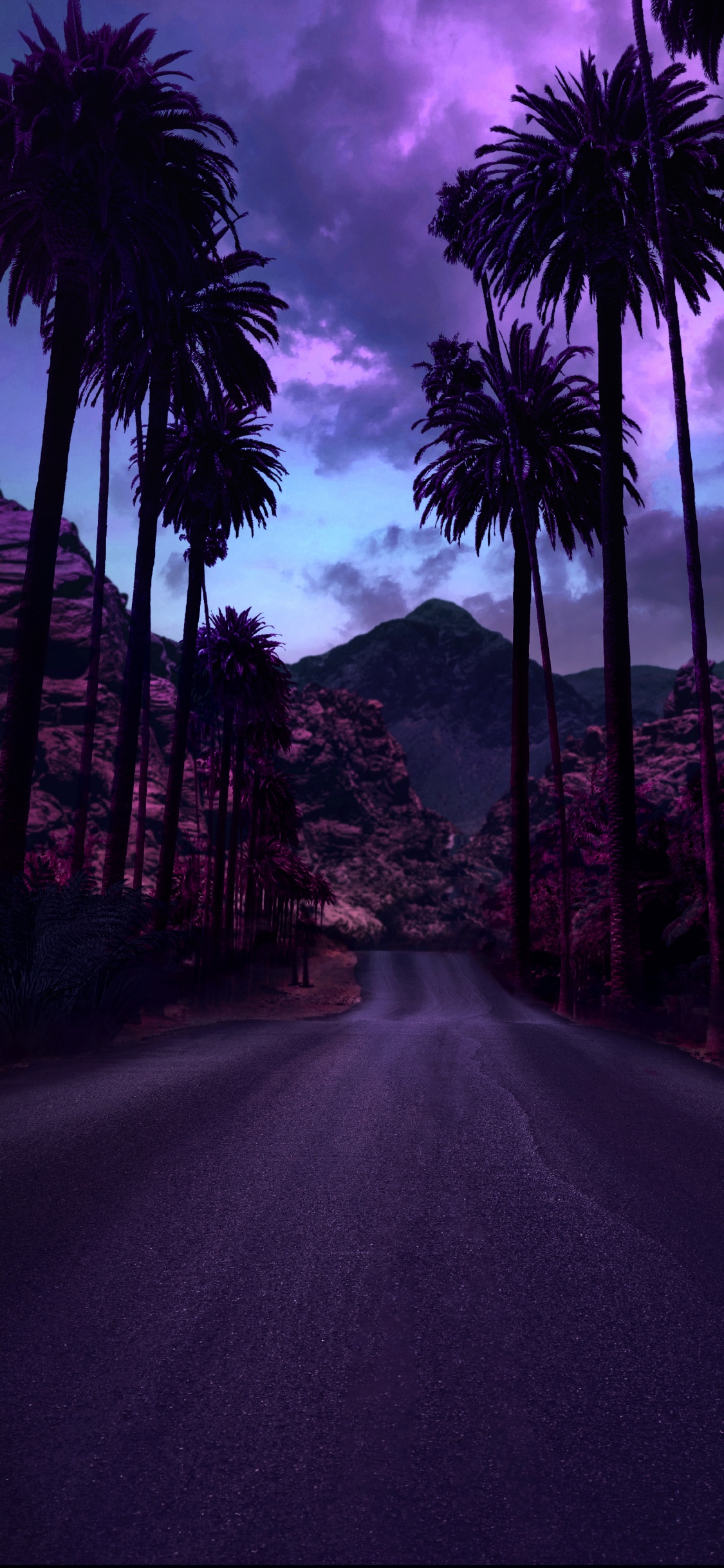 Lumière, Color, Feuille, Purple, Paysage Naturel. Wallpaper in 1125x2436 Resolution