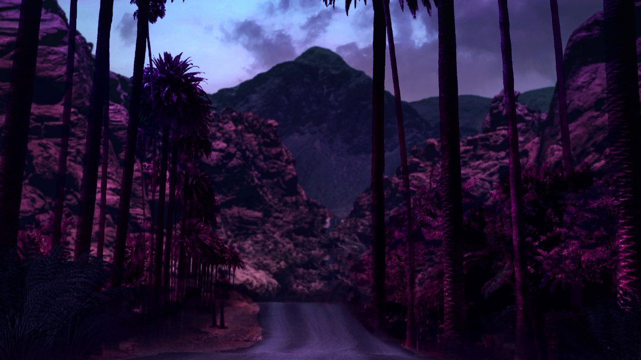 Lumière, Color, Feuille, Purple, Paysage Naturel. Wallpaper in 1280x720 Resolution