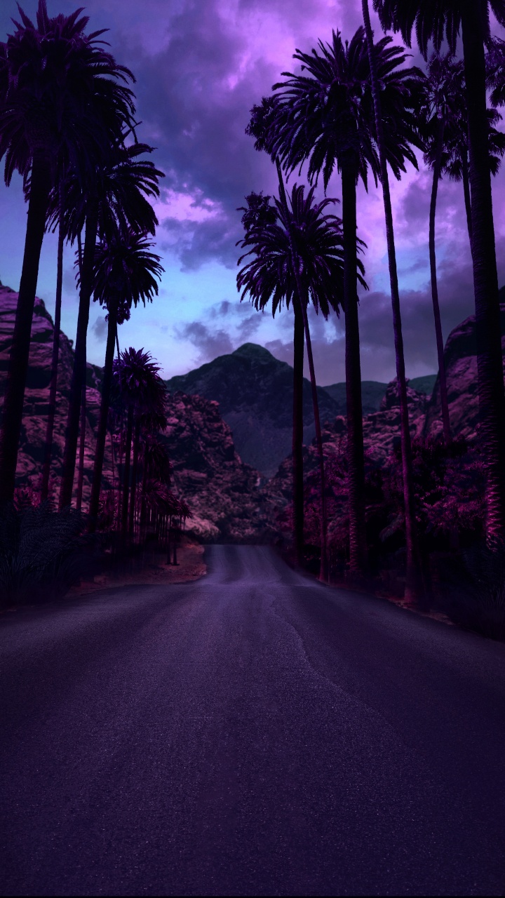 Lumière, Color, Feuille, Purple, Paysage Naturel. Wallpaper in 720x1280 Resolution