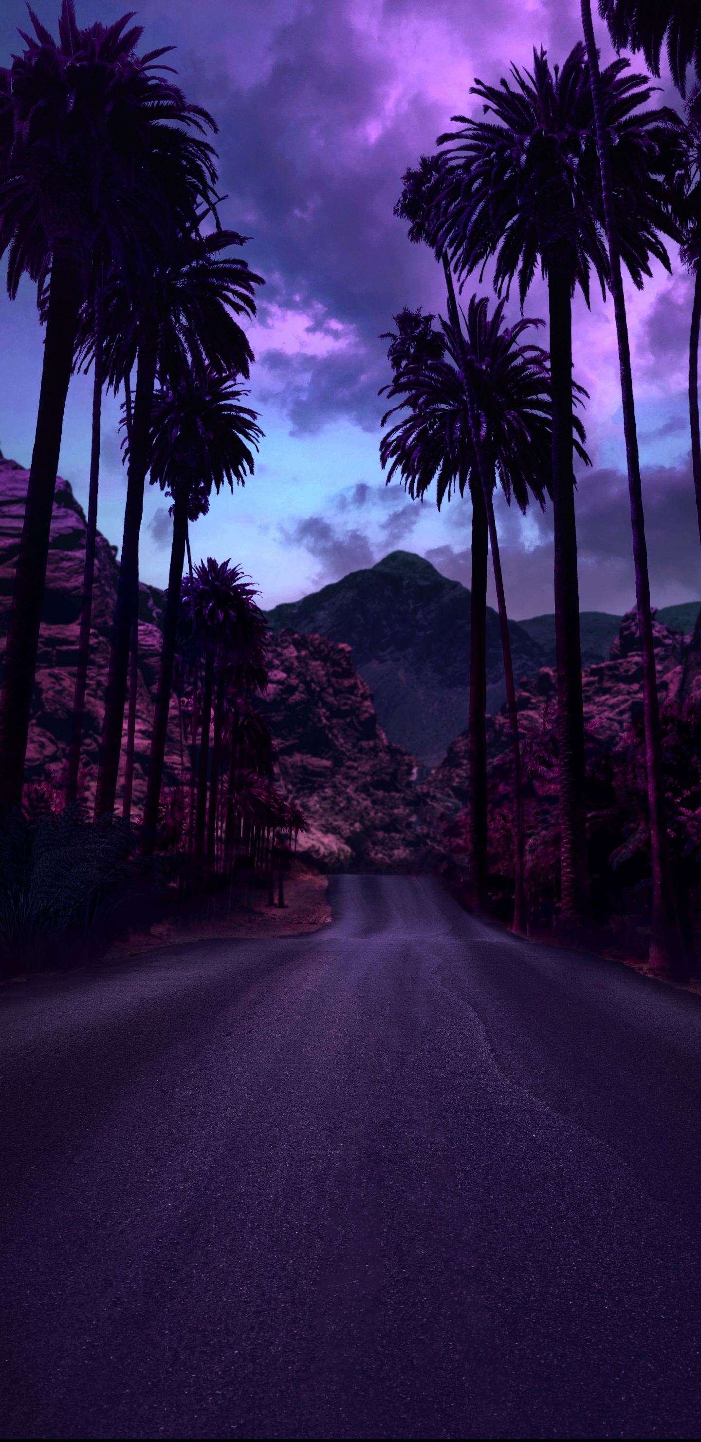 Luz, de Colores, Morado, Paisaje Natural, Montaña. Wallpaper in 1440x2960 Resolution