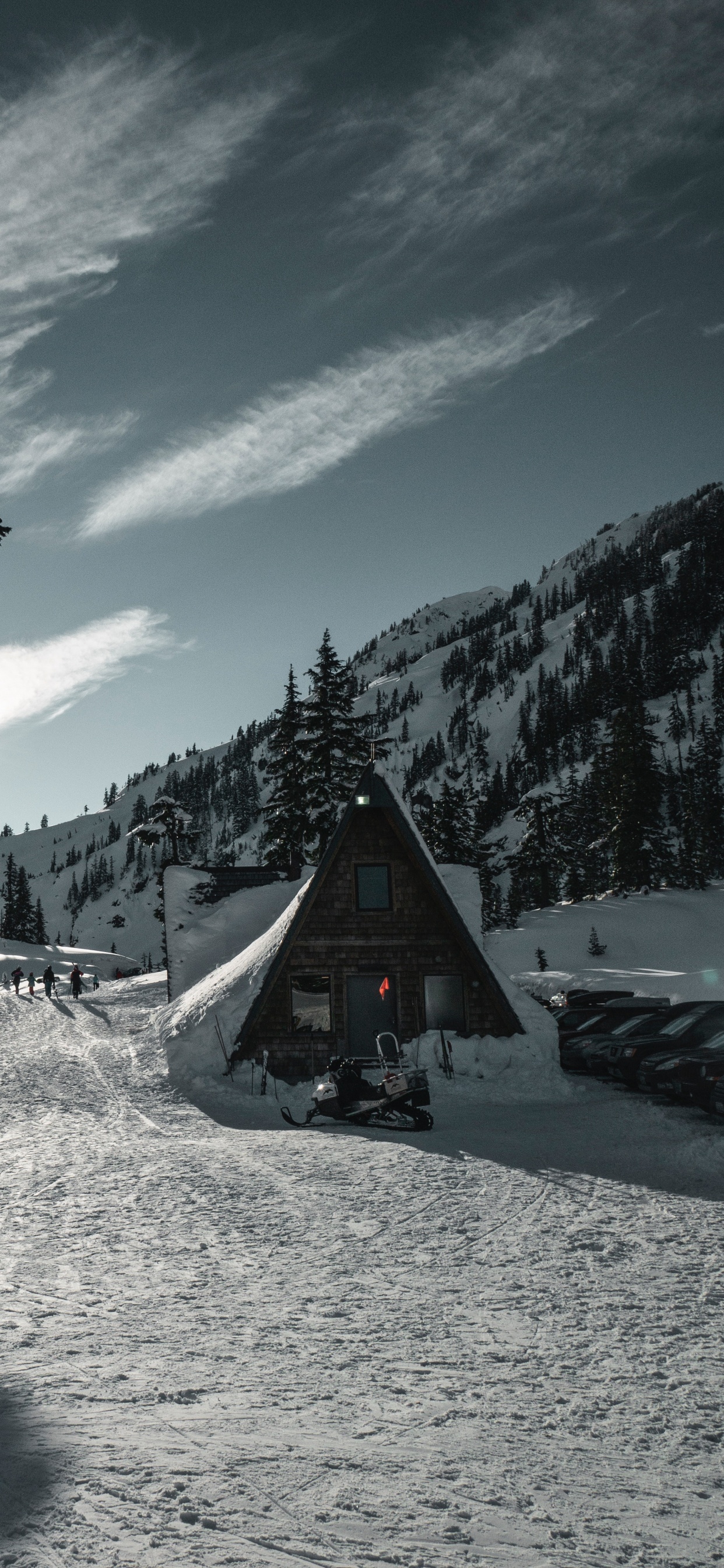 Nieve, Invierno, Montaña, Planta Leñosa, Alpes. Wallpaper in 1242x2688 Resolution