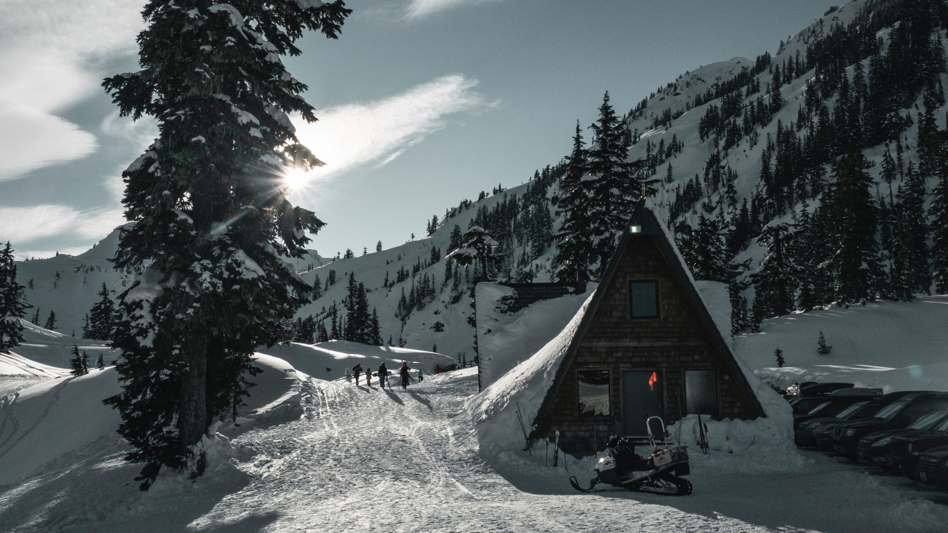 Nieve, Invierno, Montaña, Planta Leñosa, Alpes. Wallpaper in 1366x768 Resolution