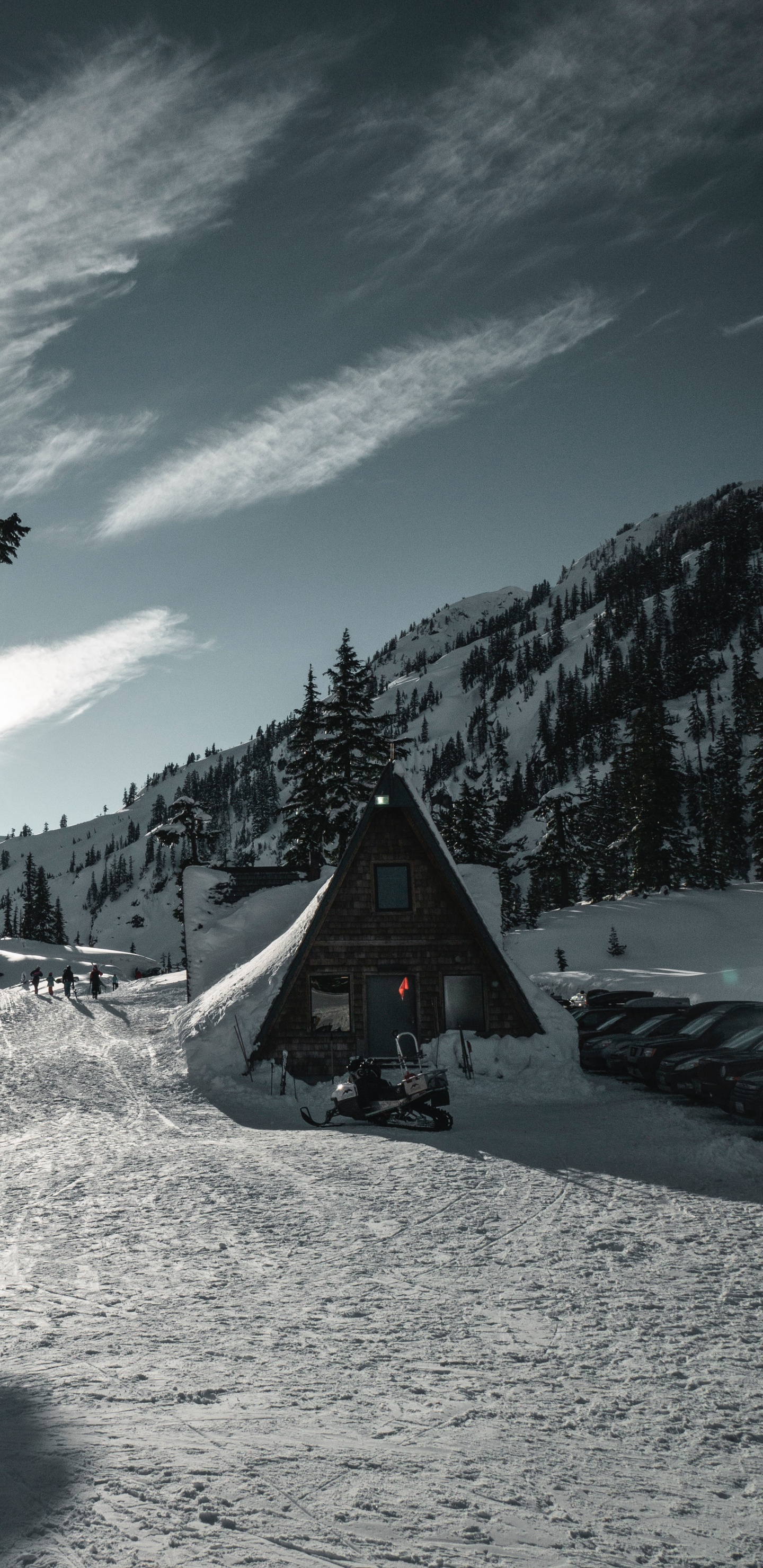 Nieve, Invierno, Montaña, Planta Leñosa, Alpes. Wallpaper in 1440x2960 Resolution