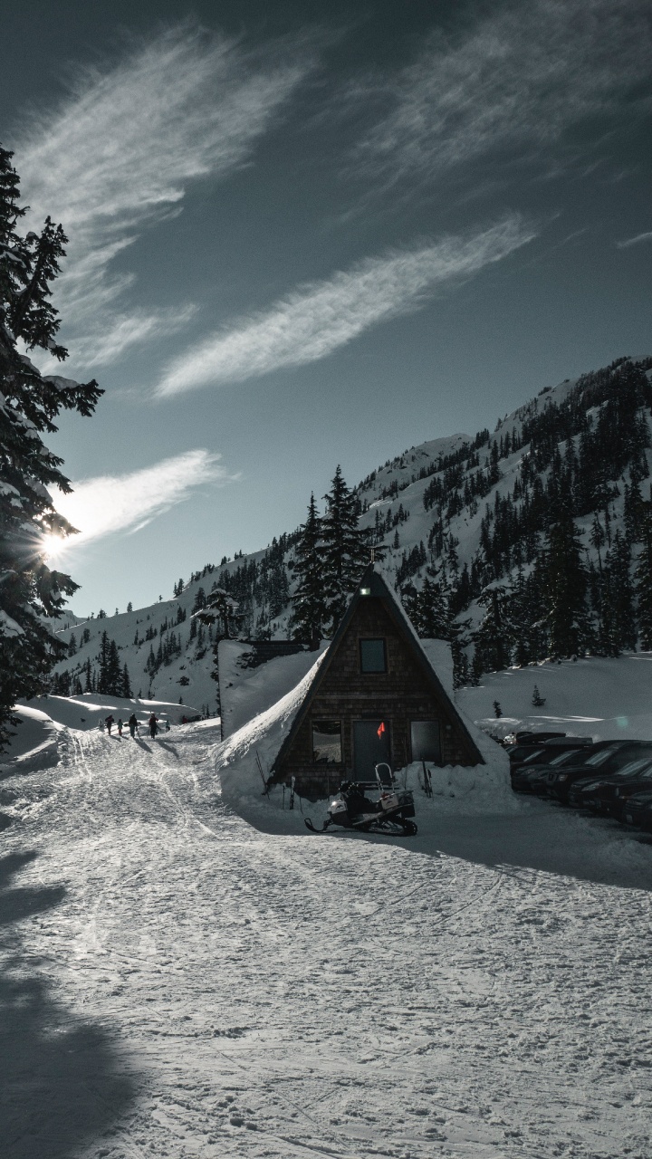 Nieve, Invierno, Montaña, Planta Leñosa, Alpes. Wallpaper in 720x1280 Resolution