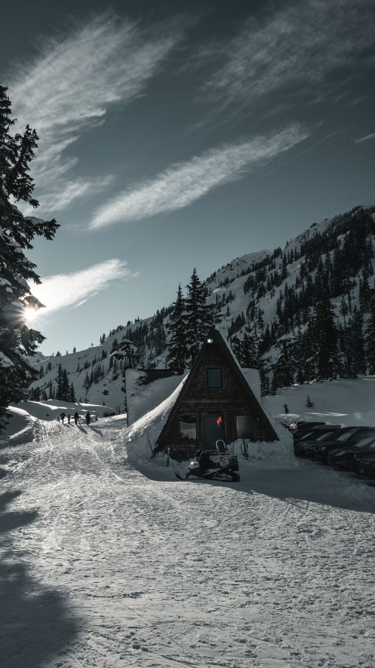 Nieve, Invierno, Montaña, Planta Leñosa, Alpes. Wallpaper in 750x1334 Resolution
