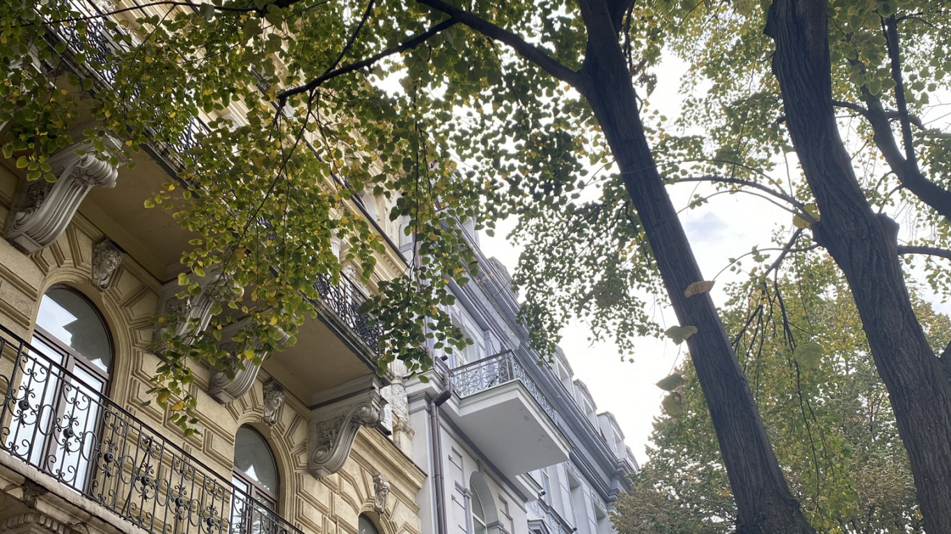 Tree, Branch, Neighbourhood, Architecture, Facade. Wallpaper in 1366x768 Resolution