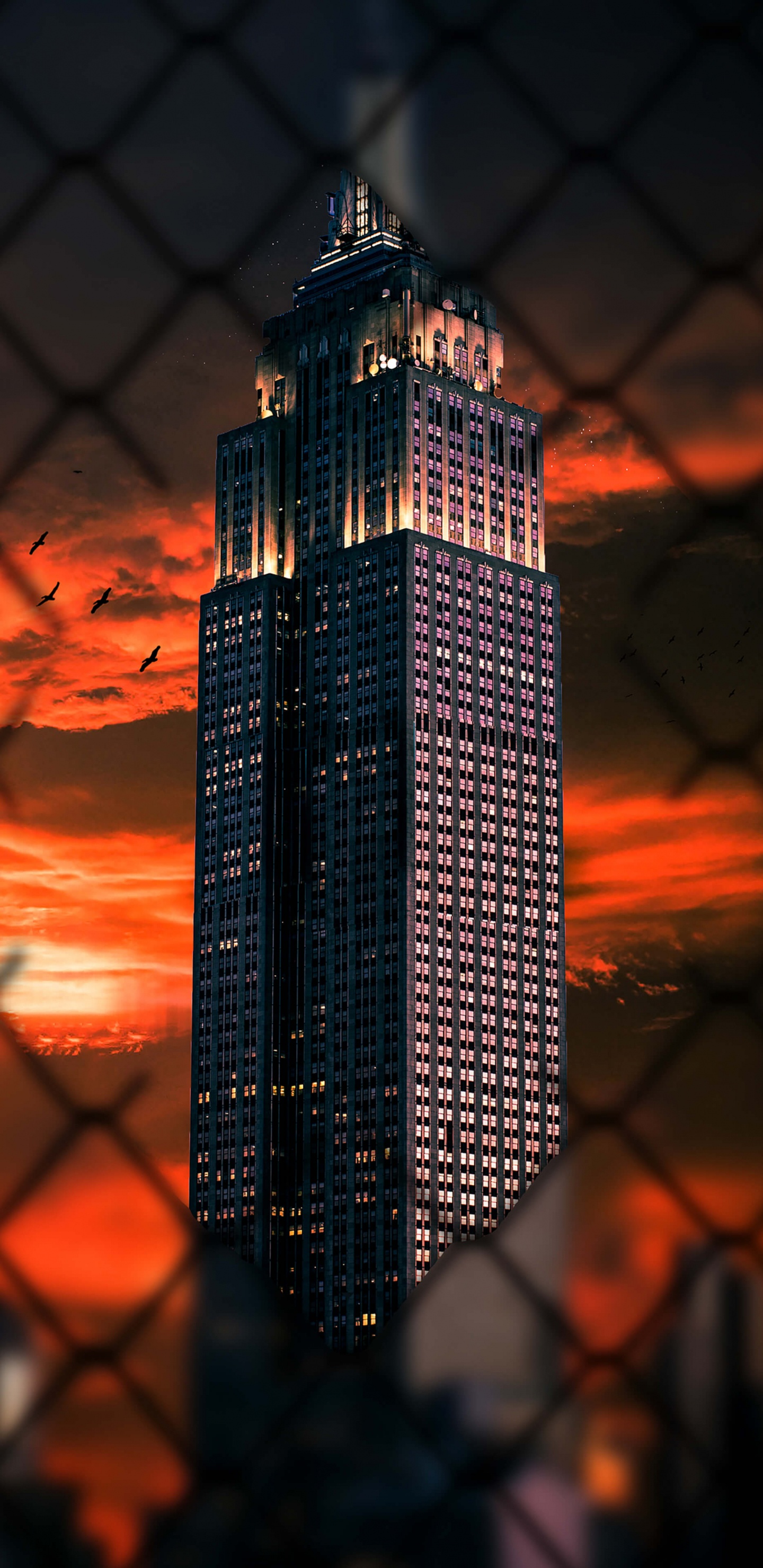 Empire State Building, Android, Smartphone, Edificio, Ambiente. Wallpaper in 1440x2960 Resolution