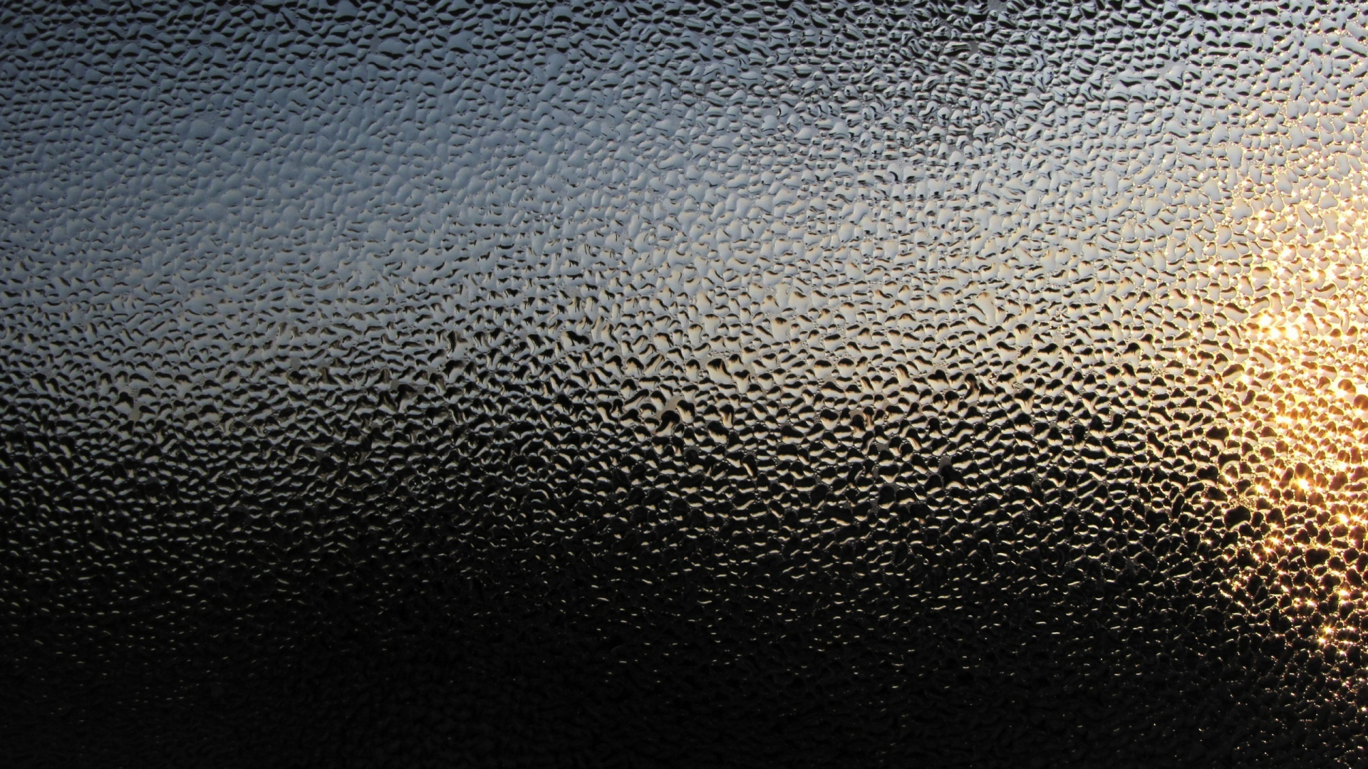 Black Leather Textile With Water Droplets. Wallpaper in 1920x1080 Resolution