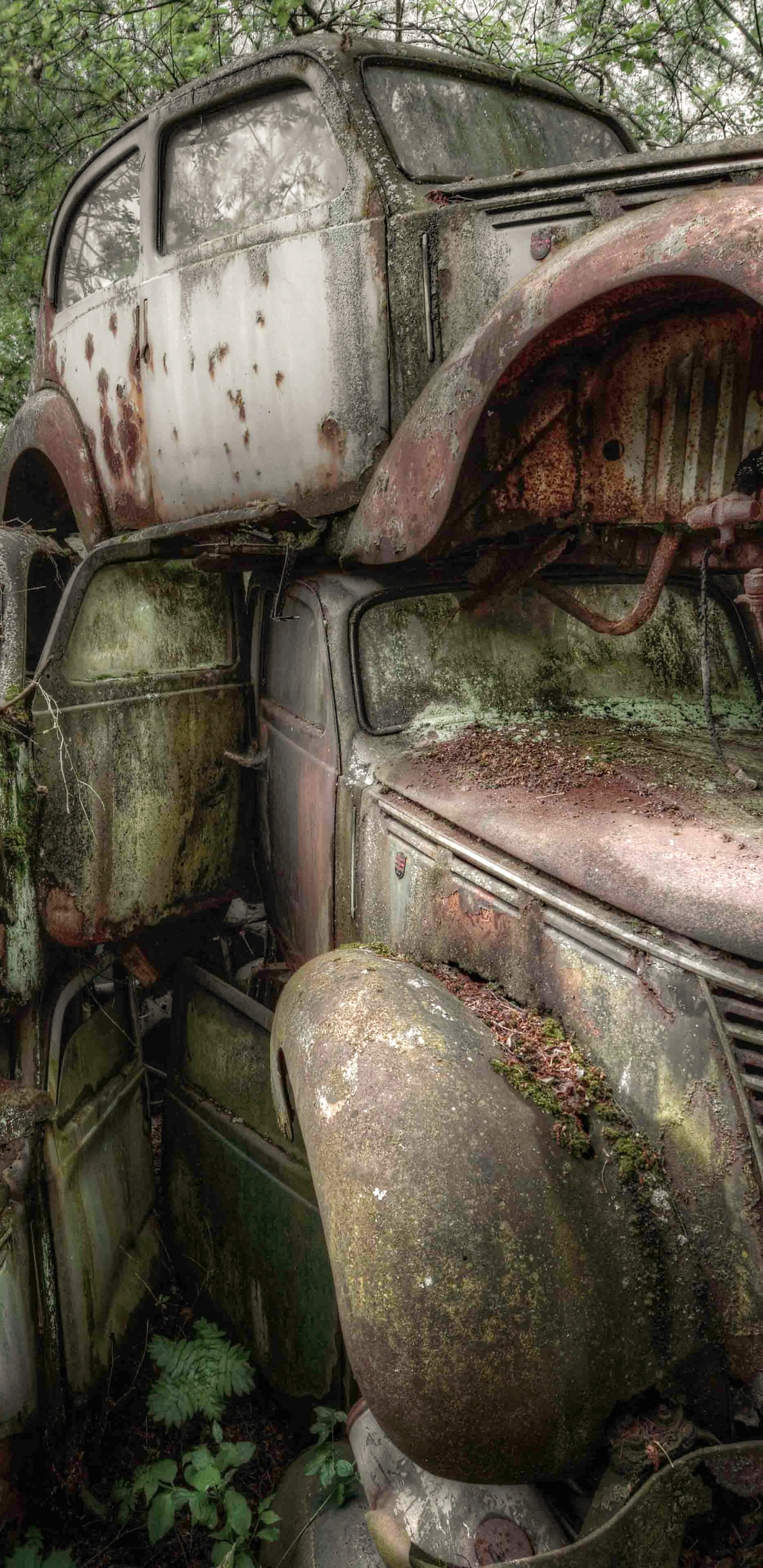 Vintage Coche Marrón en el Campo de Hierba Verde Durante el Día. Wallpaper in 1440x2960 Resolution