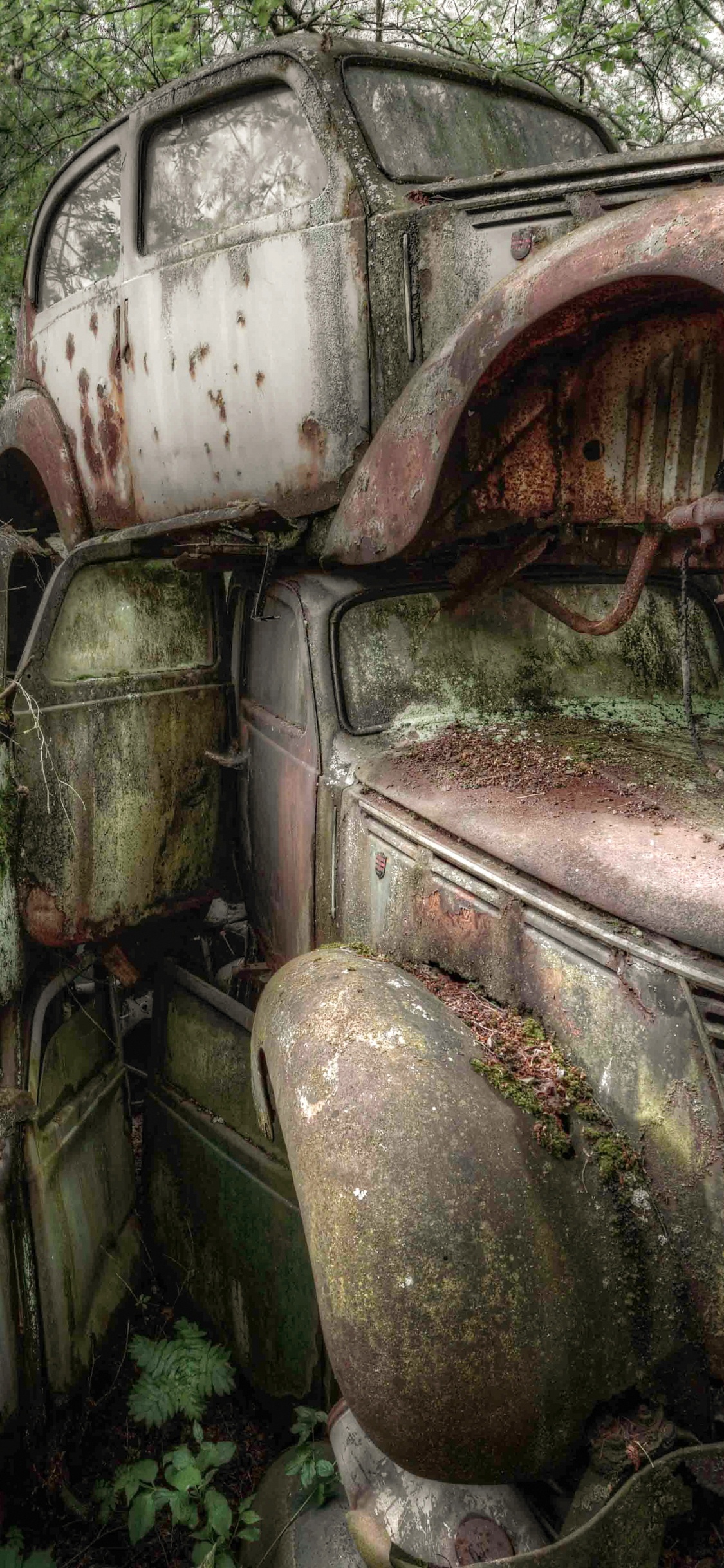 Vintage Braunes Auto Auf Grüner Wiese Tagsüber. Wallpaper in 1125x2436 Resolution