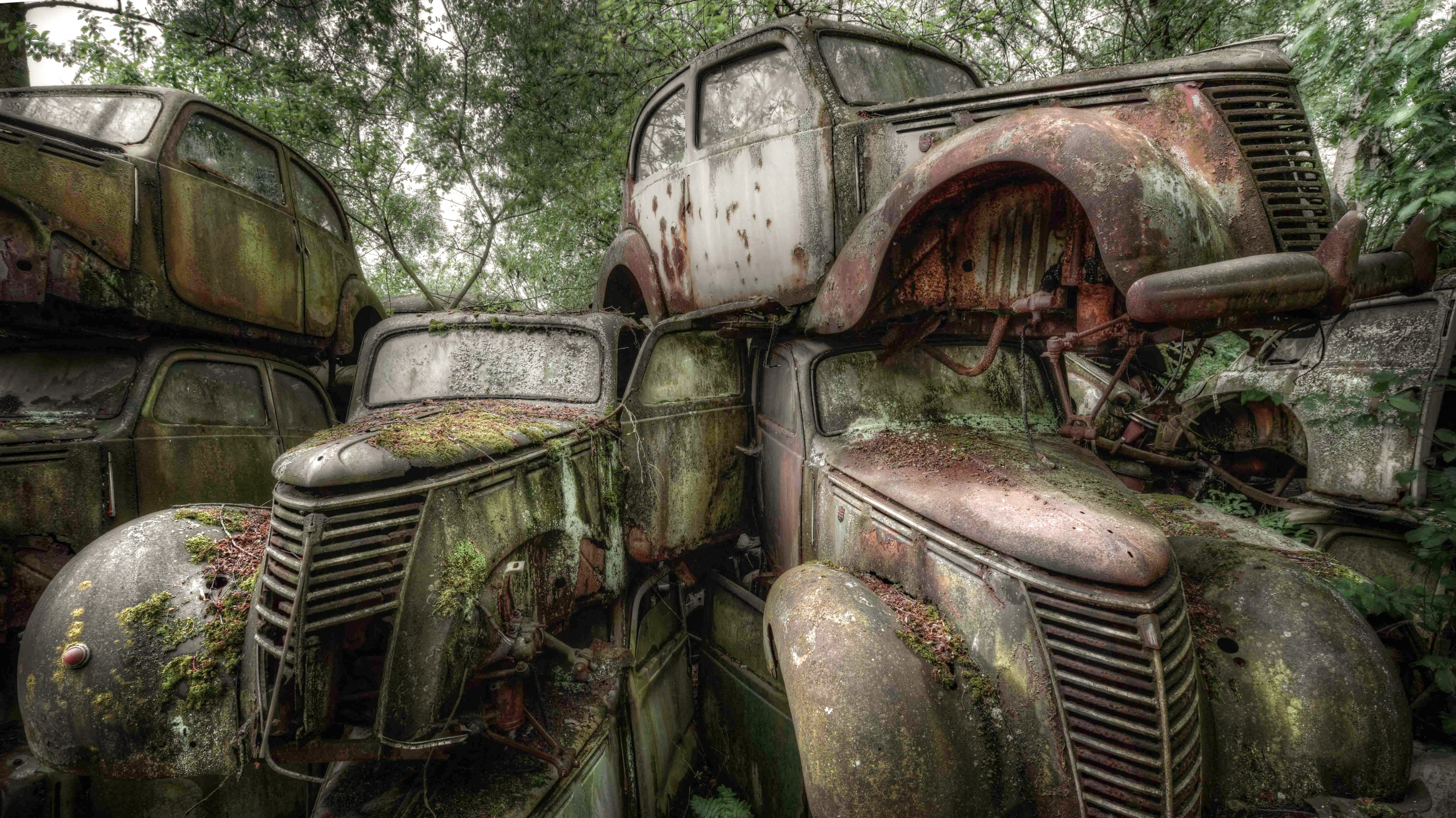 Vintage Braunes Auto Auf Grüner Wiese Tagsüber. Wallpaper in 2560x1440 Resolution