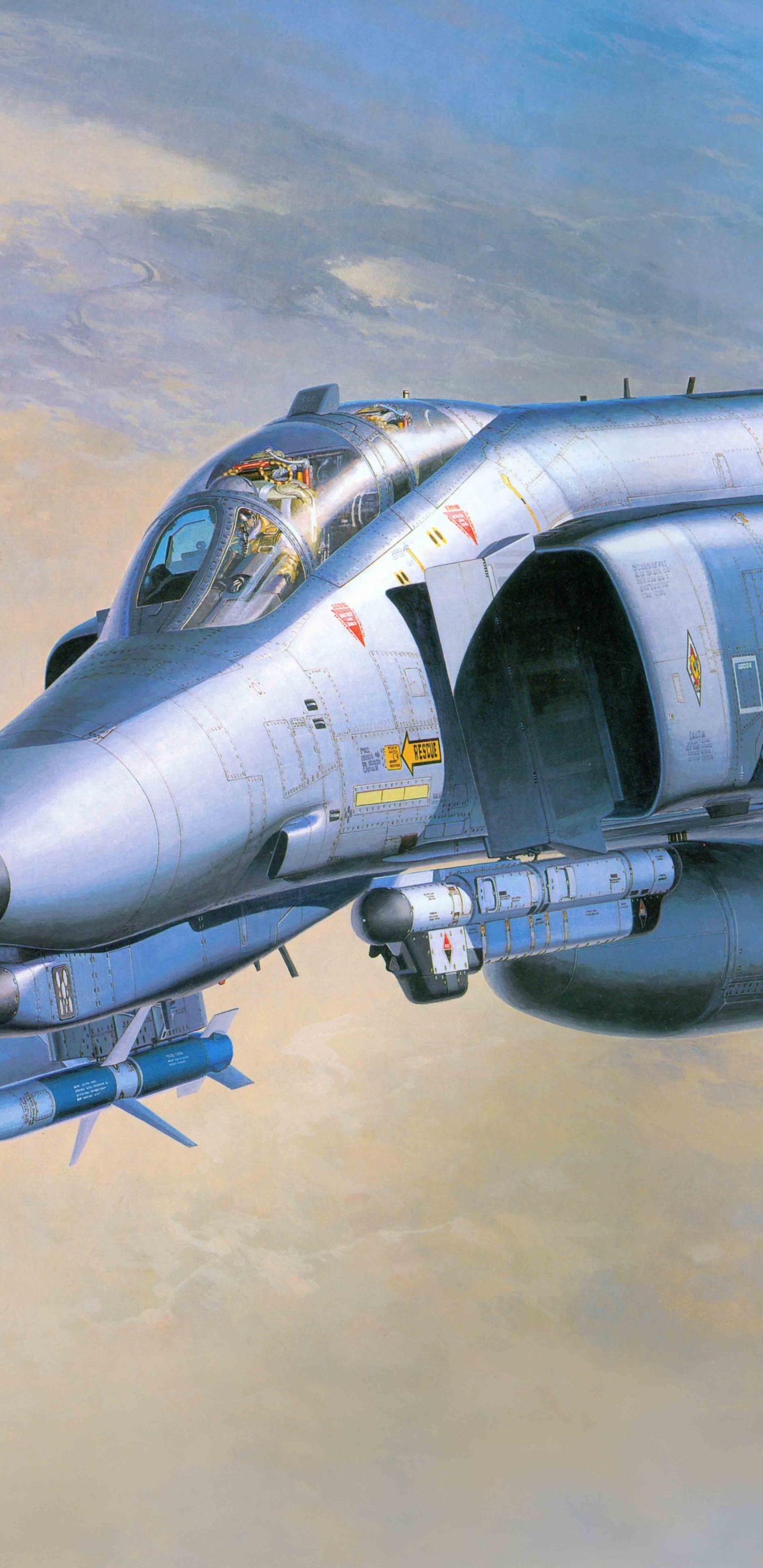 麦克道格拉斯F-4幽灵II, 长谷川公司, 喷气式飞机, 航空, 军用飞机 壁纸 1440x2960 允许