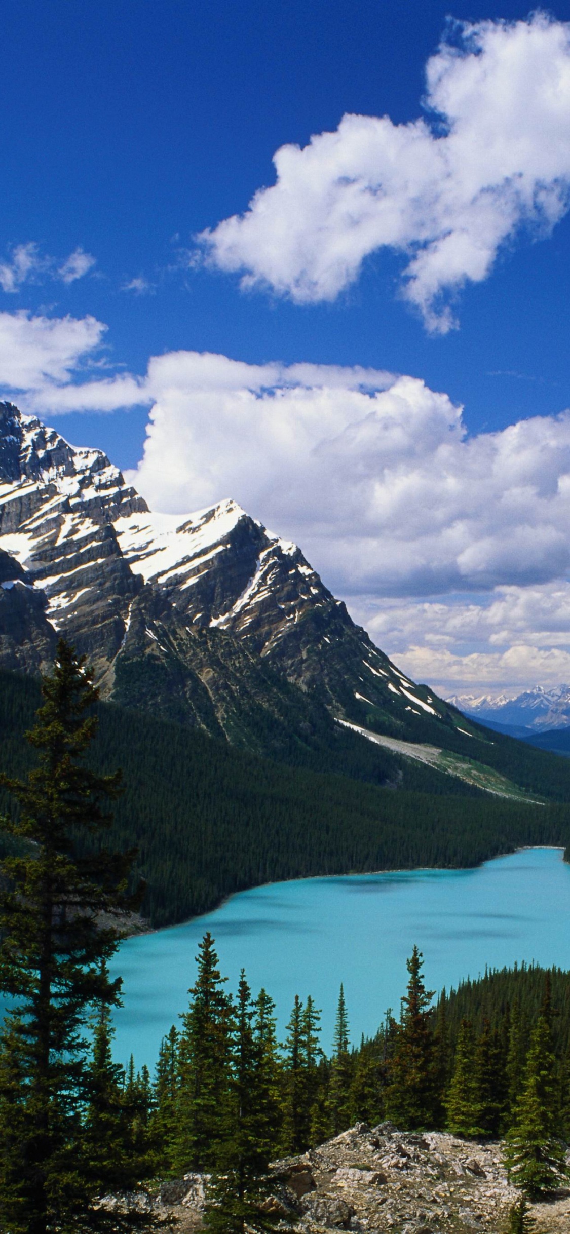 Green Trees and Mountains Under Blue Sky and White Clouds During Daytime. Wallpaper in 1125x2436 Resolution