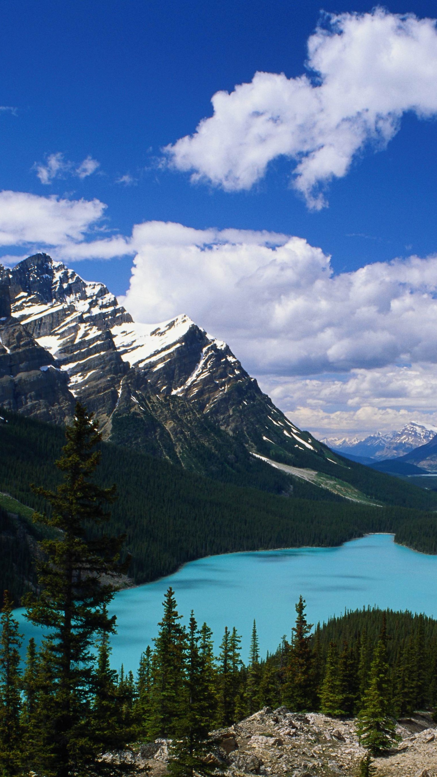 Green Trees and Mountains Under Blue Sky and White Clouds During Daytime. Wallpaper in 1440x2560 Resolution