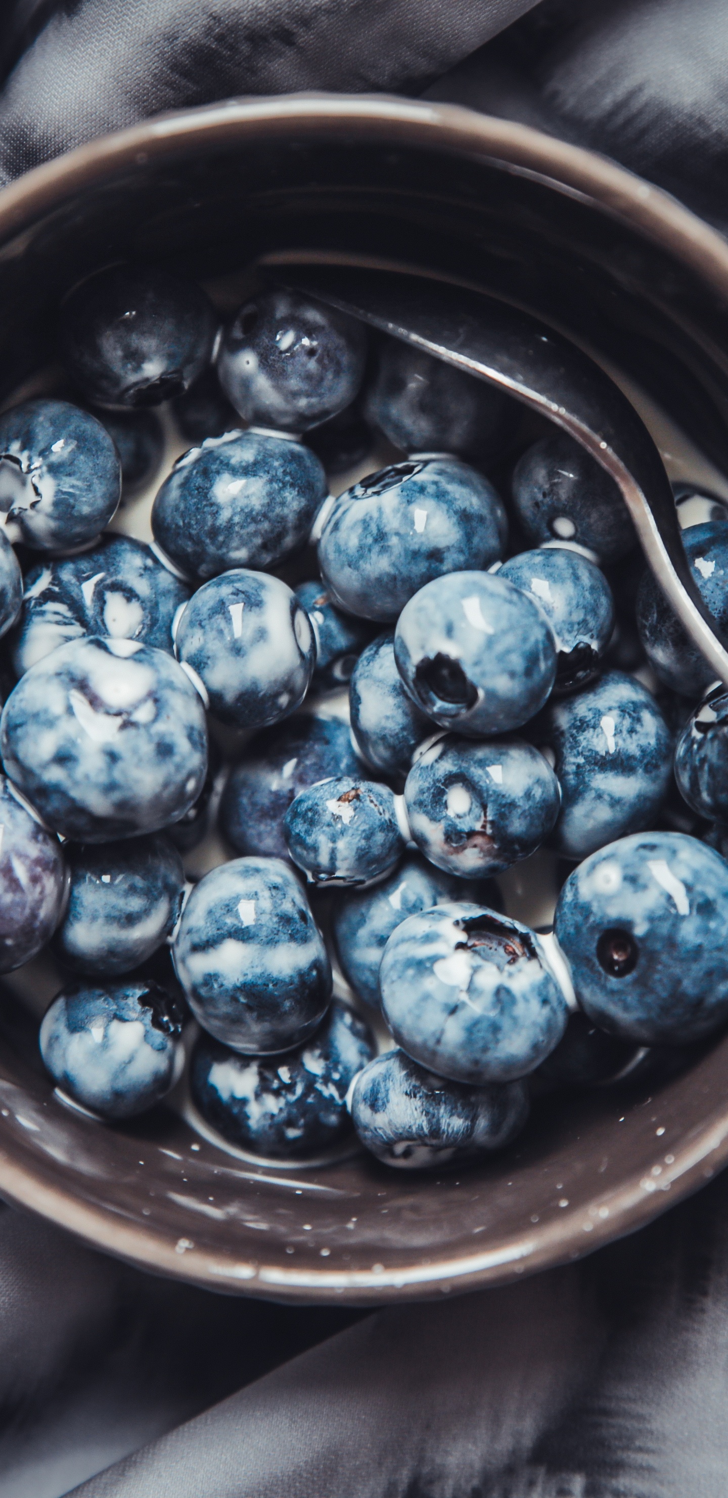 Blue Berries in Brown Ceramic Bowl. Wallpaper in 1440x2960 Resolution