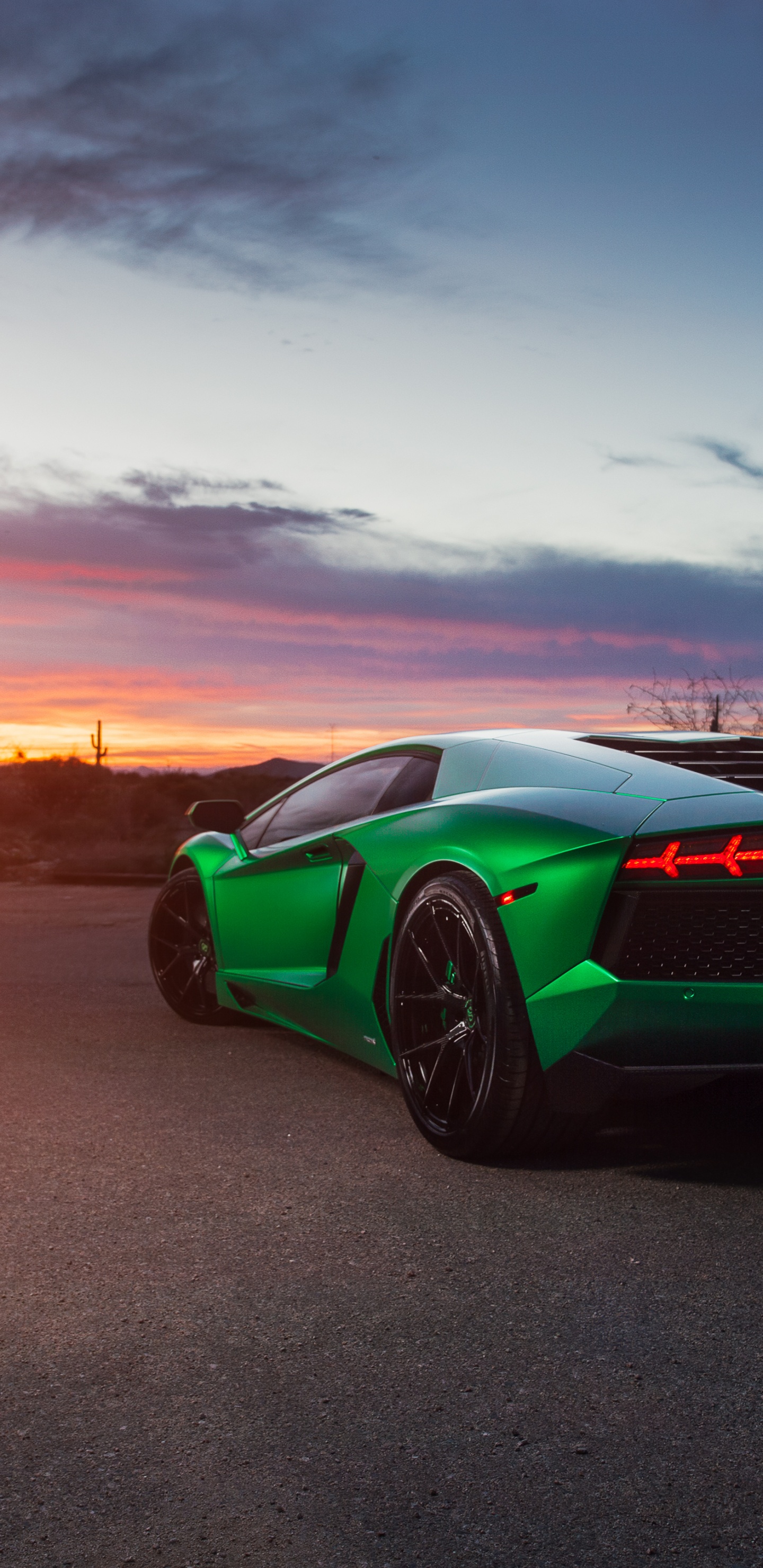 Green Porsche 911 on Brown Sand During Sunset. Wallpaper in 1440x2960 Resolution