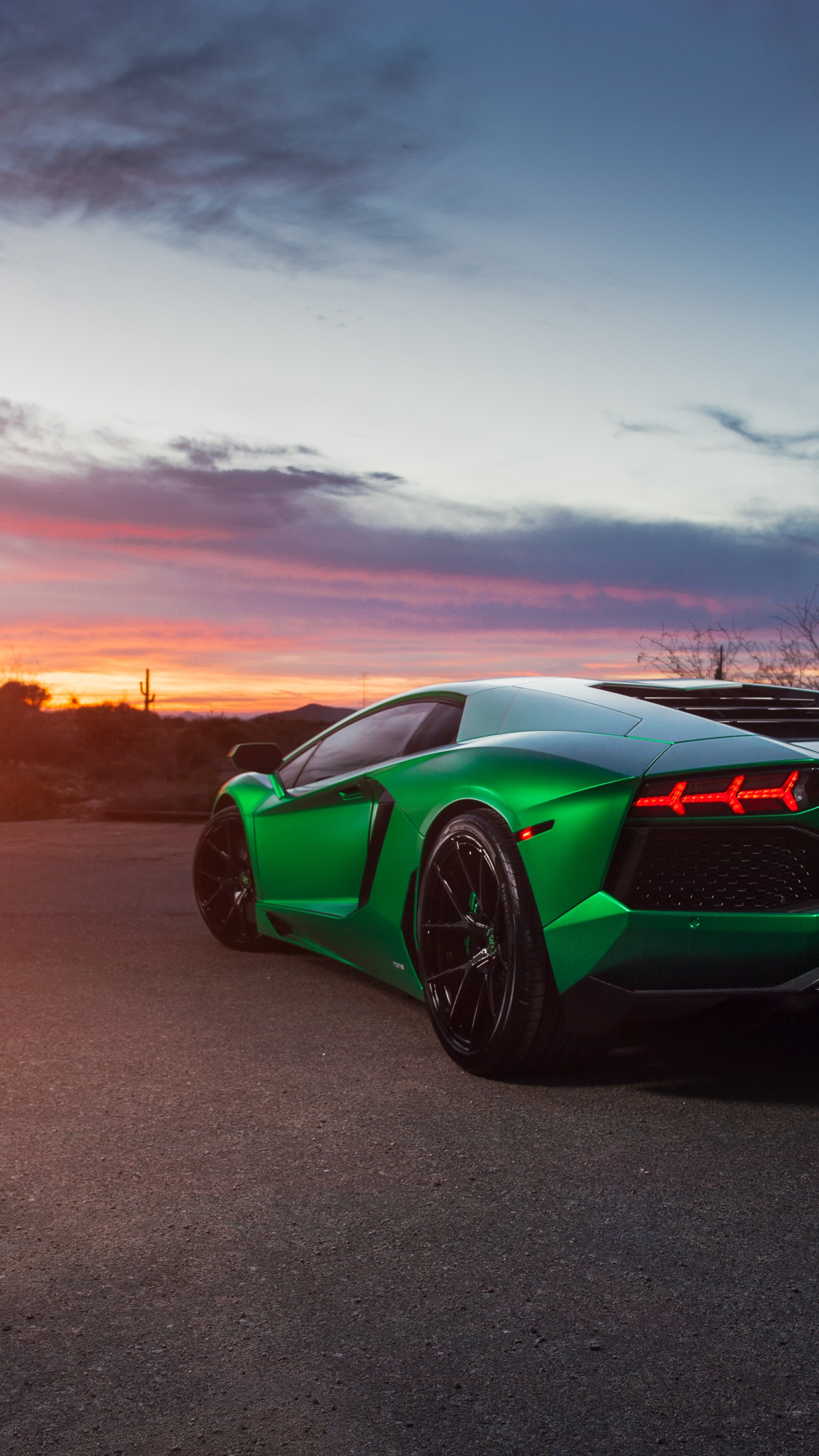 Porsche 911 Verte Sur le Sable Brun Pendant le Coucher du Soleil. Wallpaper in 1440x2560 Resolution