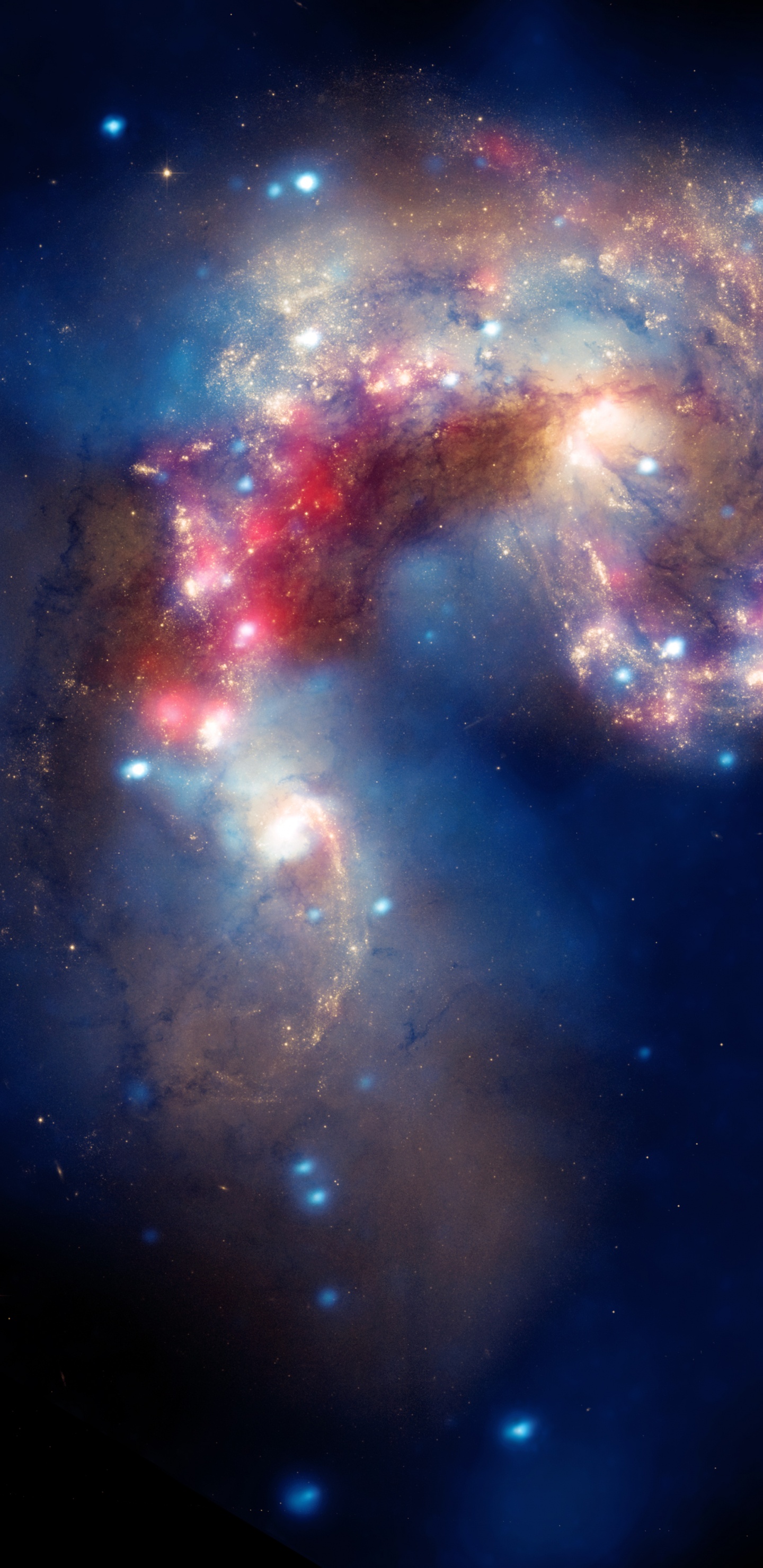 Ilustración de Galaxia Azul y Roja. Wallpaper in 1440x2960 Resolution