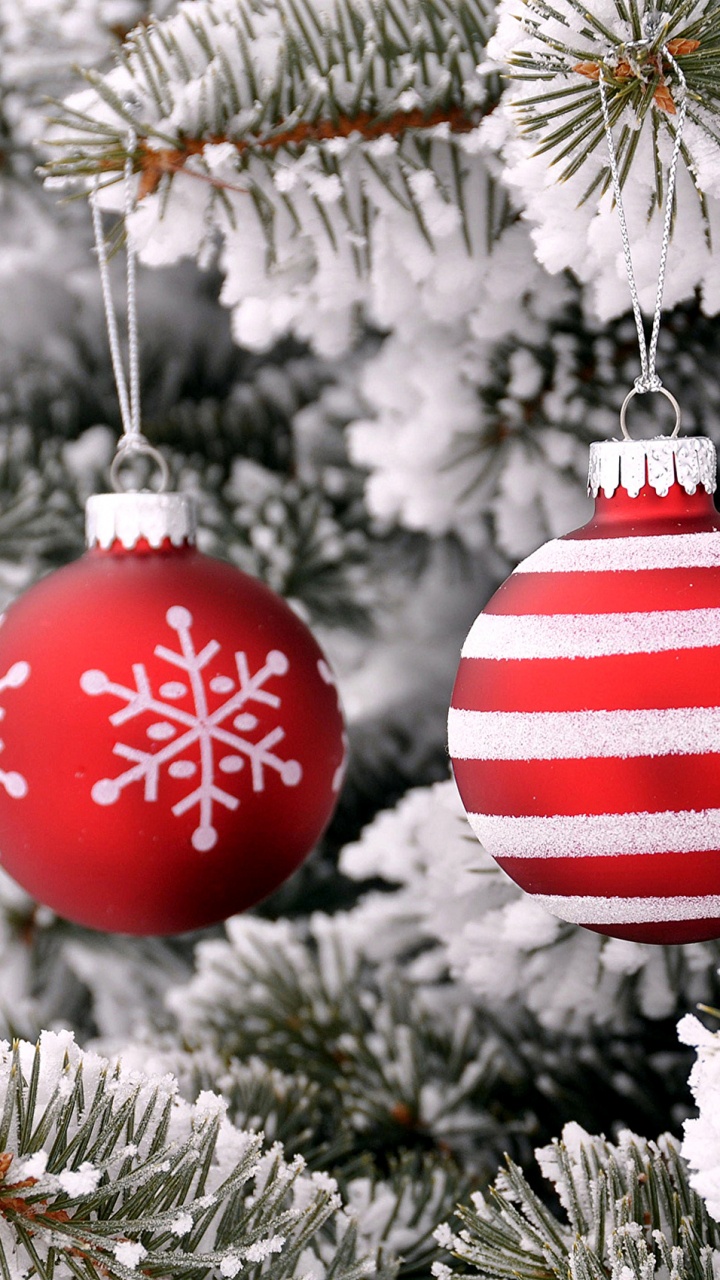 Le Jour De Noël, Arbre de Noël, Ornement de Noël, Décoration de Noël, Spruce. Wallpaper in 720x1280 Resolution