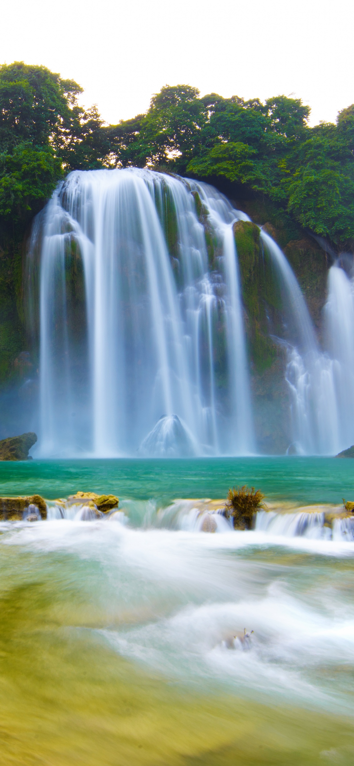 Cascades au Milieu de la Forêt Pendant la Journée. Wallpaper in 1242x2688 Resolution