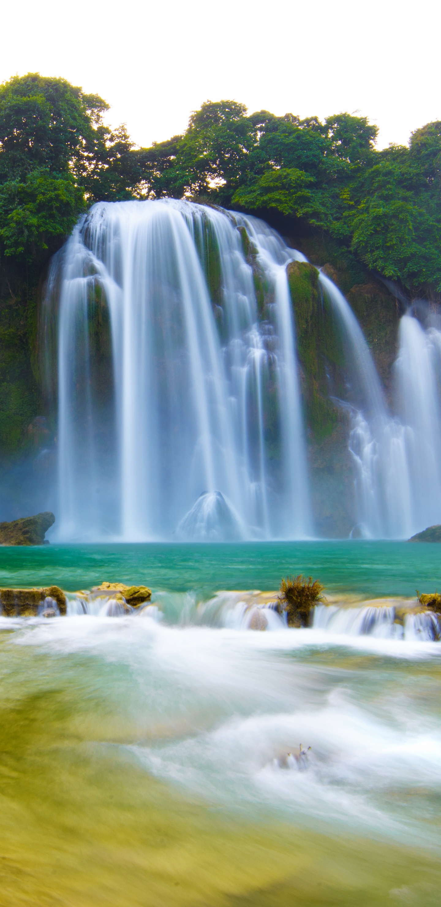 Cascadas en Medio Del Bosque Durante el Día. Wallpaper in 1440x2960 Resolution