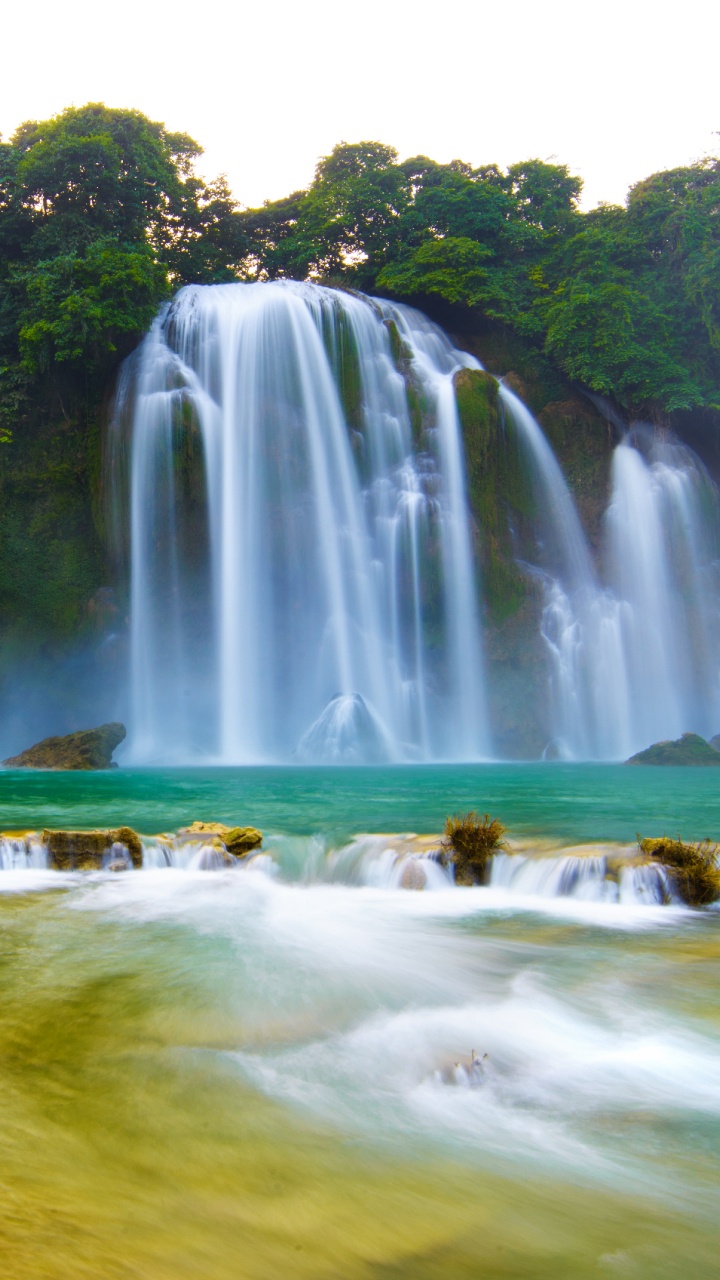 Waterfalls in The Middle of The Forest During Daytime. Wallpaper in 720x1280 Resolution