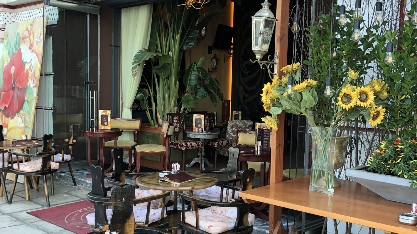 Tabla, Mueble, Maceta, Planta de Interior, Restaurante. Wallpaper in 1366x768 Resolution