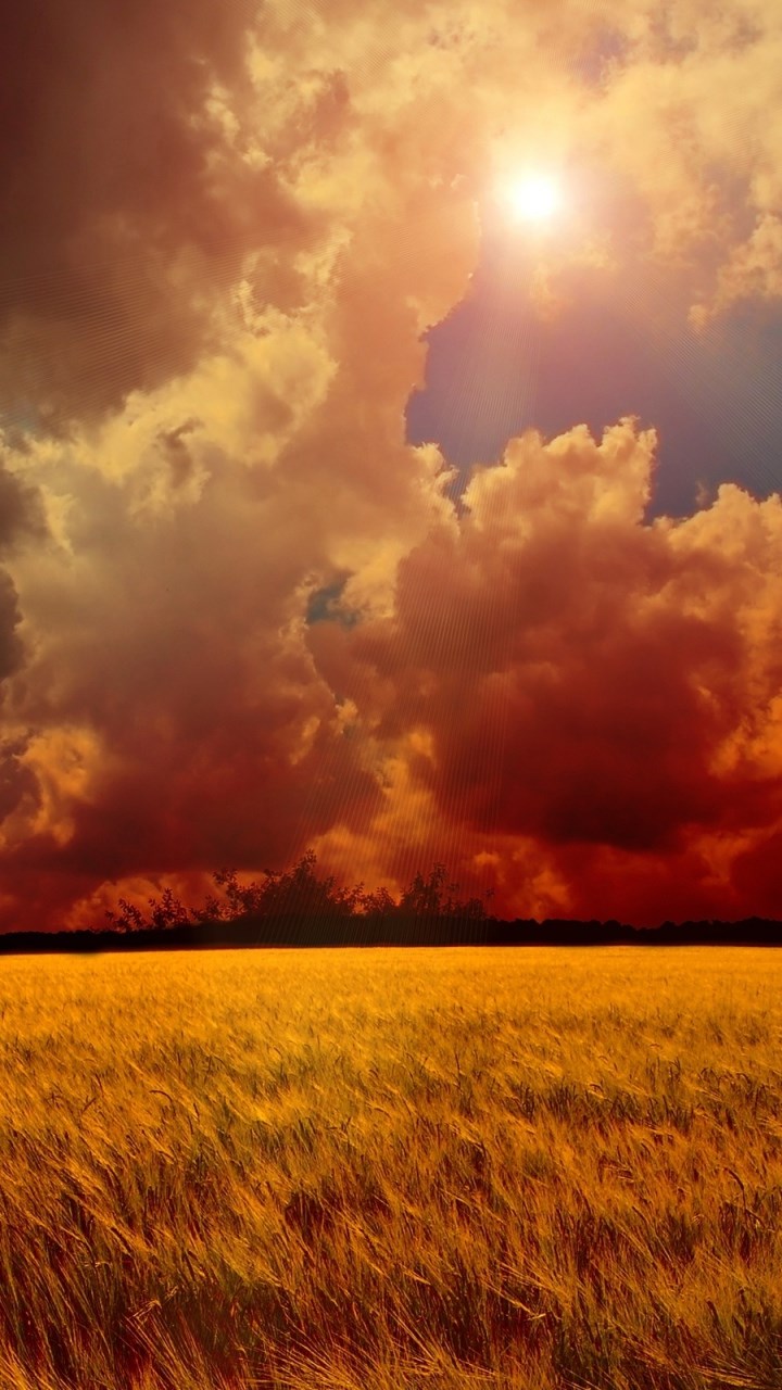 Roronoa Zoro, Uns, Tony Tony Chopper, Einteiler, Cloud. Wallpaper in 720x1280 Resolution