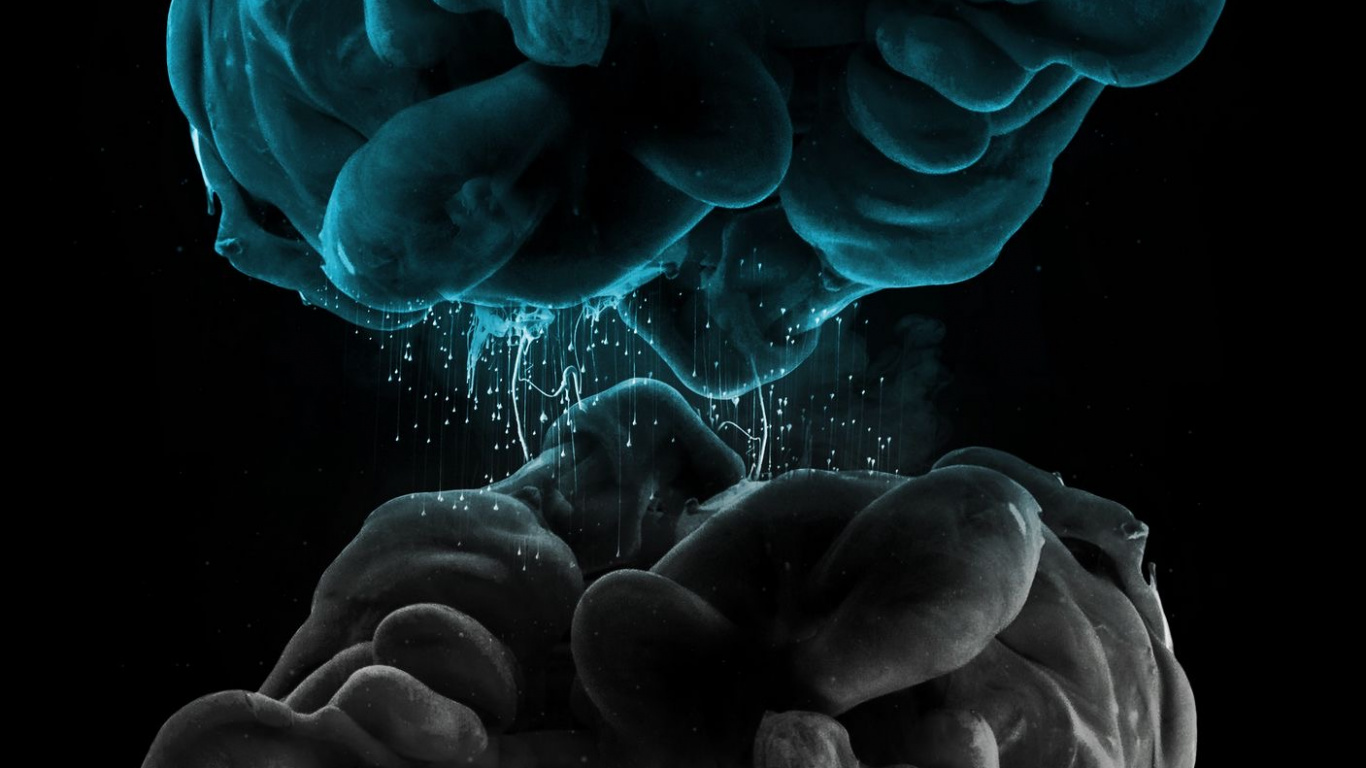 陆地上的植物, 电蓝色的, 真菌, 艺术 壁纸 1366x768 允许