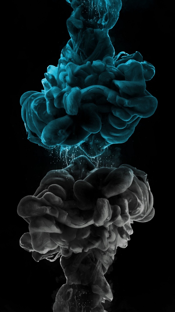 Planta Terrestre, Pétalo, Hongo, Arte, Patrón. Wallpaper in 720x1280 Resolution