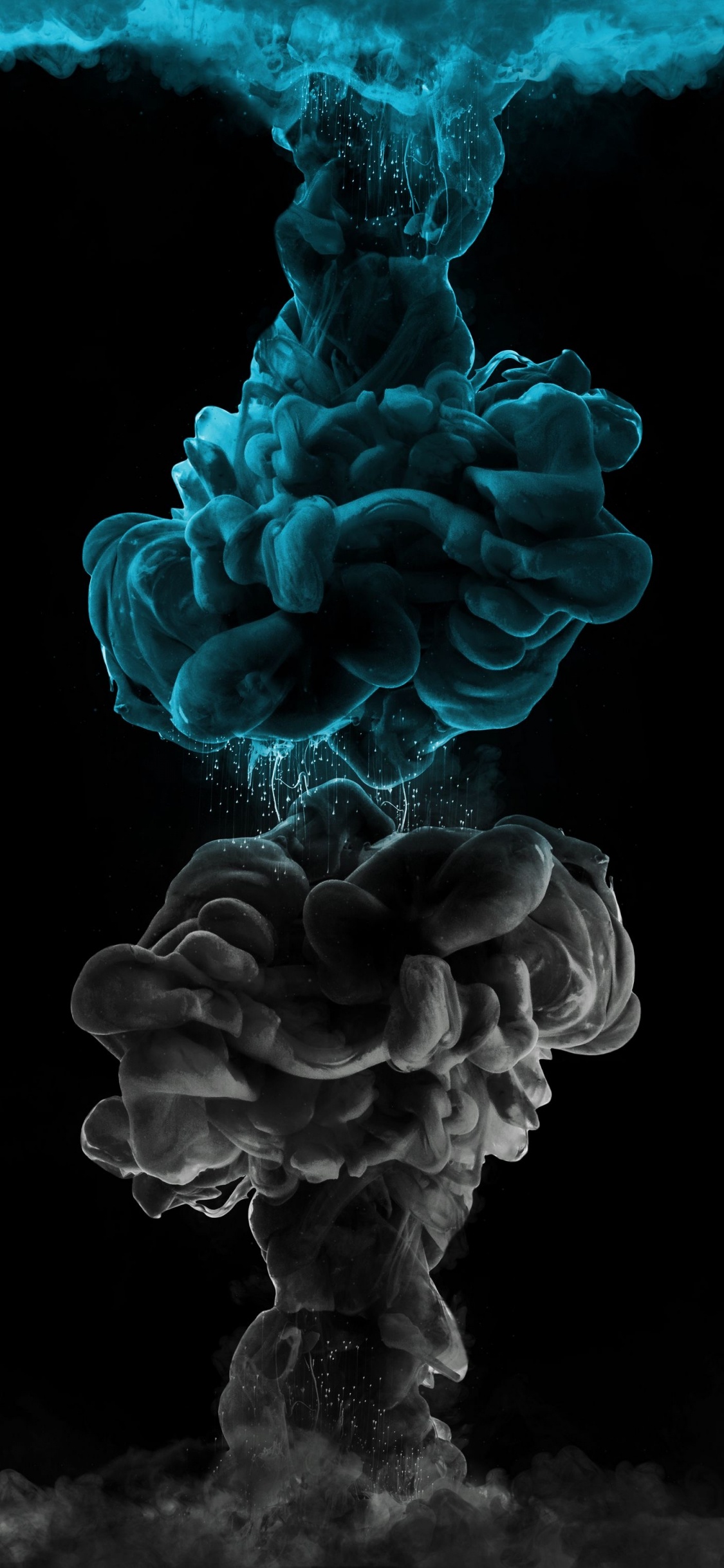 Terrestrische Pflanzen, Baum, Blütenblatt, Electric Blue, Pilz. Wallpaper in 1125x2436 Resolution