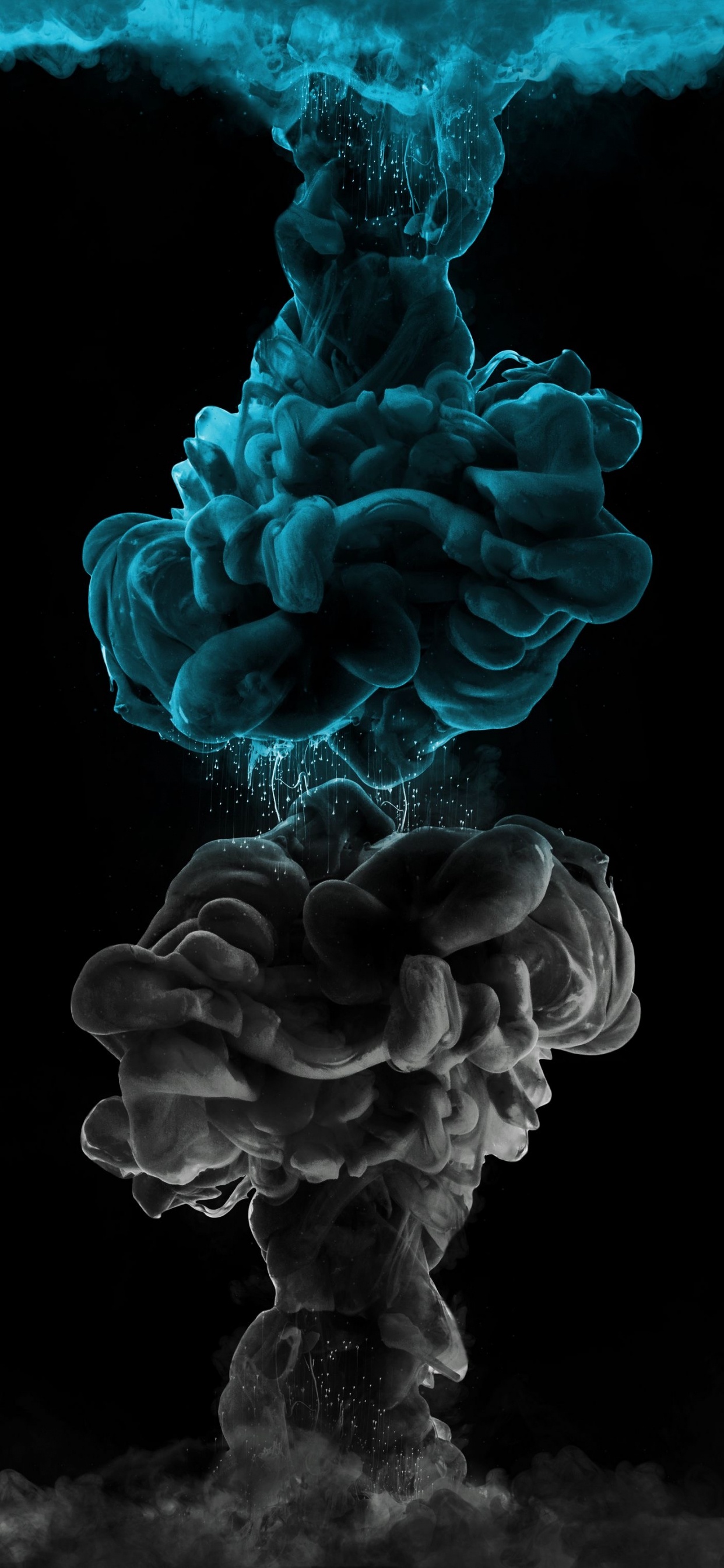 Terrestrische Pflanzen, Baum, Blütenblatt, Electric Blue, Pilz. Wallpaper in 1242x2688 Resolution