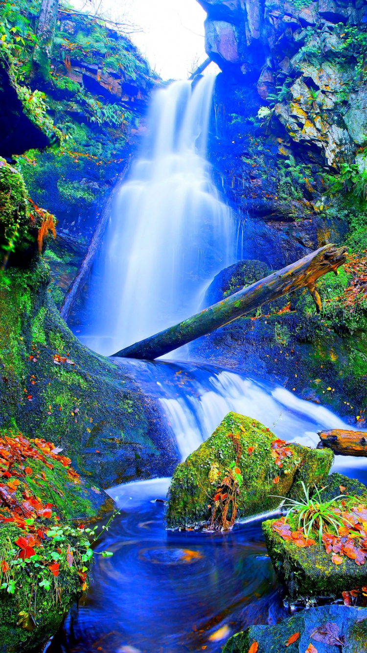 Green Moss on Brown Wooden Log in Front of Waterfalls. Wallpaper in 750x1334 Resolution