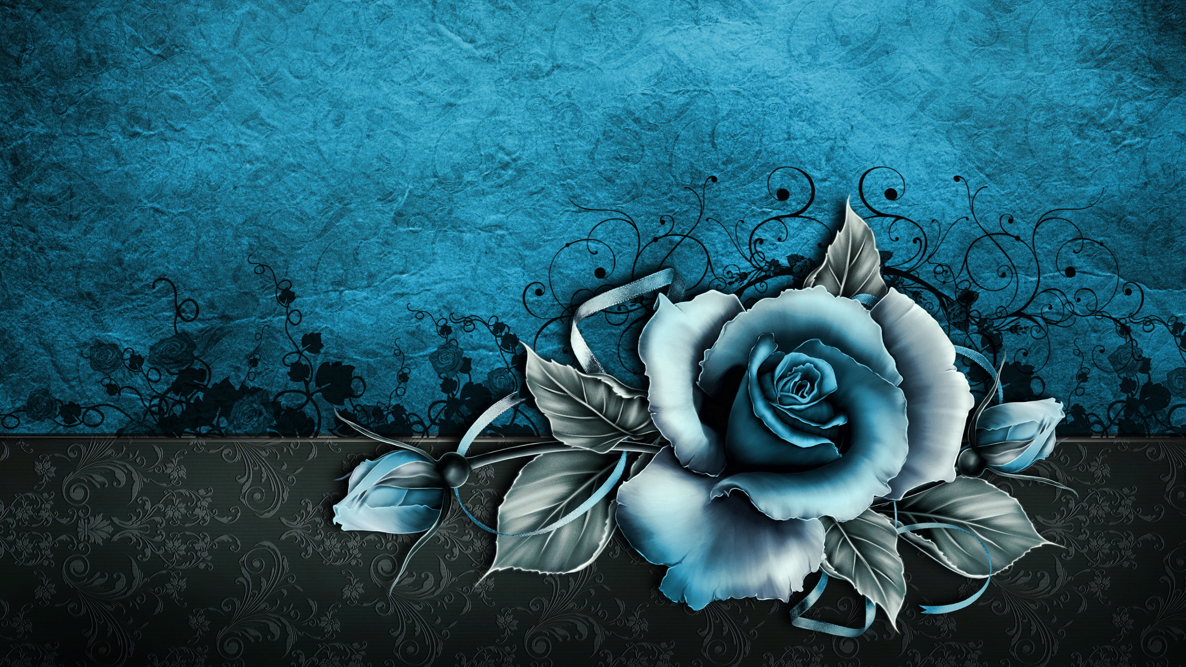 Rose Blanche Sur Fond Bleu. Wallpaper in 3840x2160 Resolution