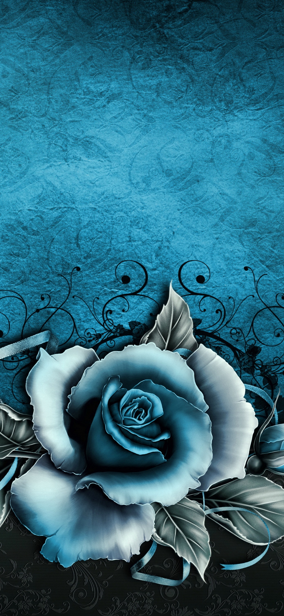 Weiße Rose Mit Blauem Hintergrund. Wallpaper in 1125x2436 Resolution