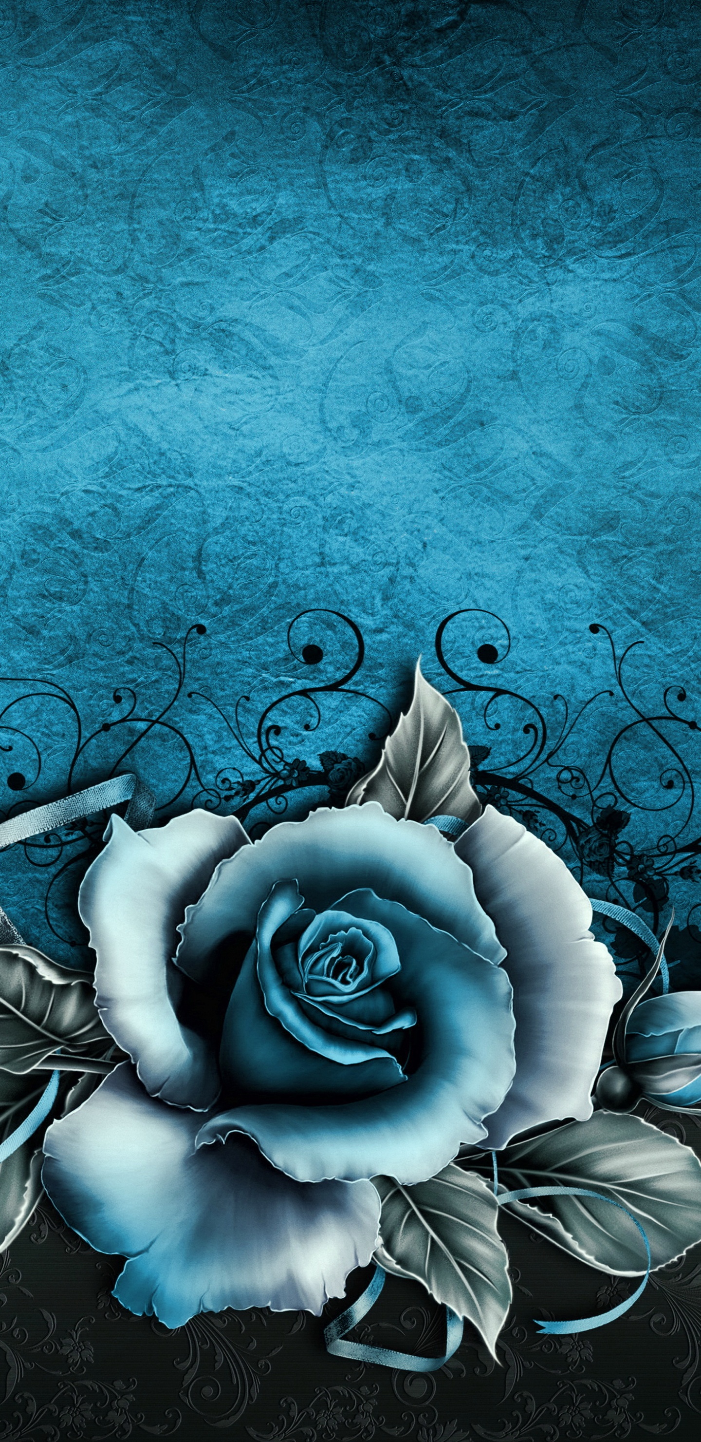White Rose With Blue Background. Wallpaper in 1440x2960 Resolution